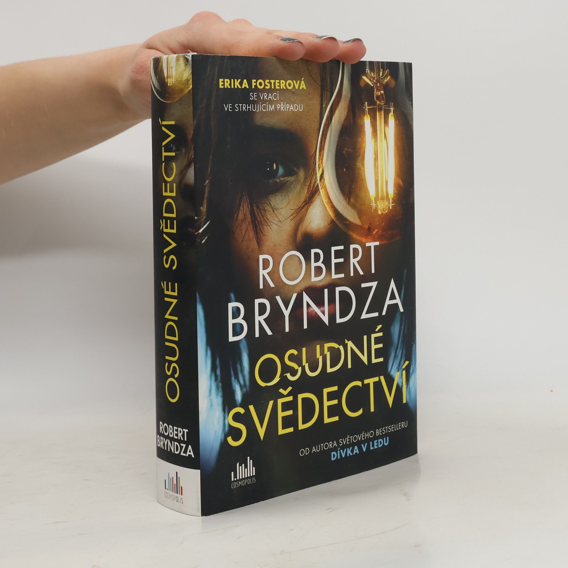 Robert Bryndza Osudné svědectví