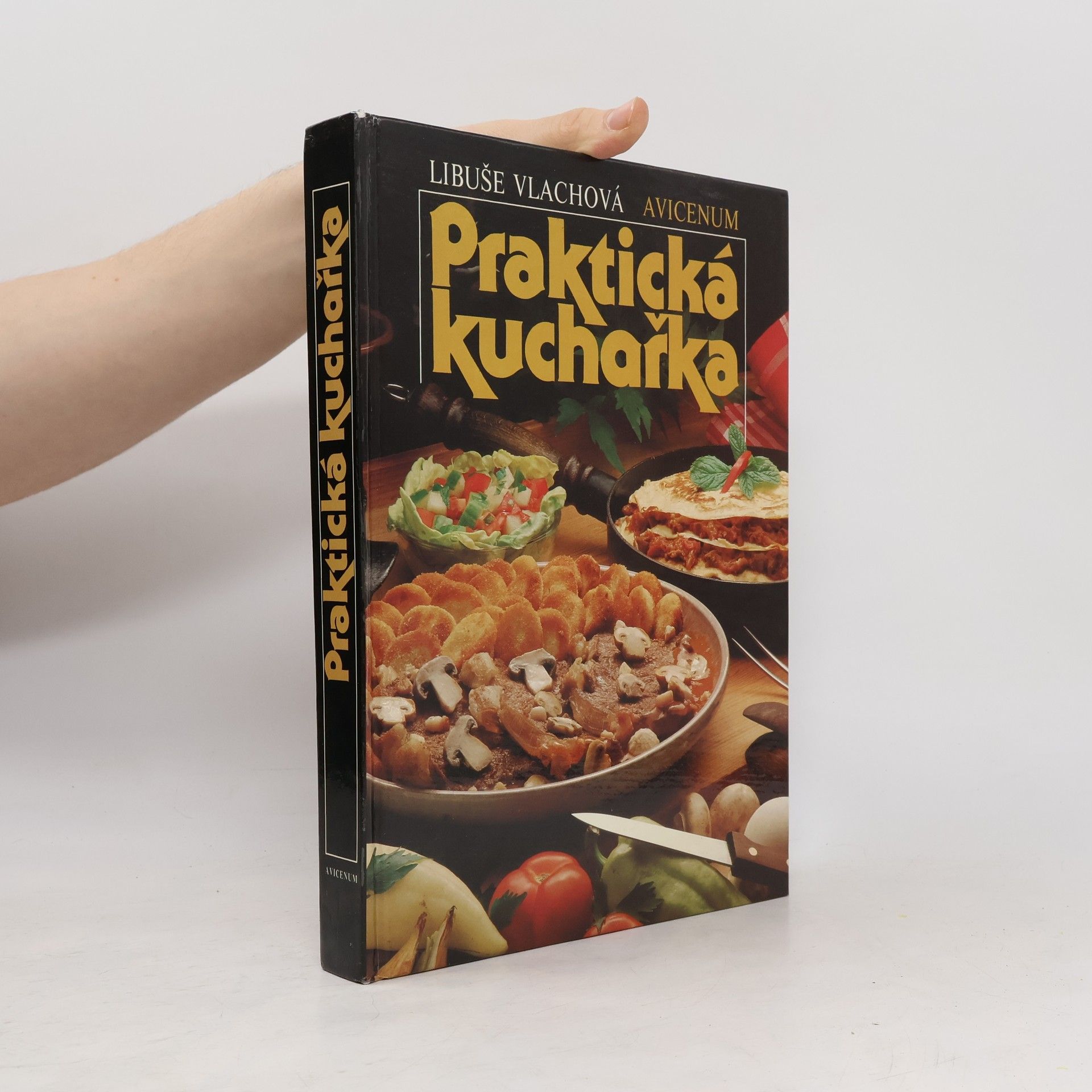 Libuše Vlachová Praktická kuchařka