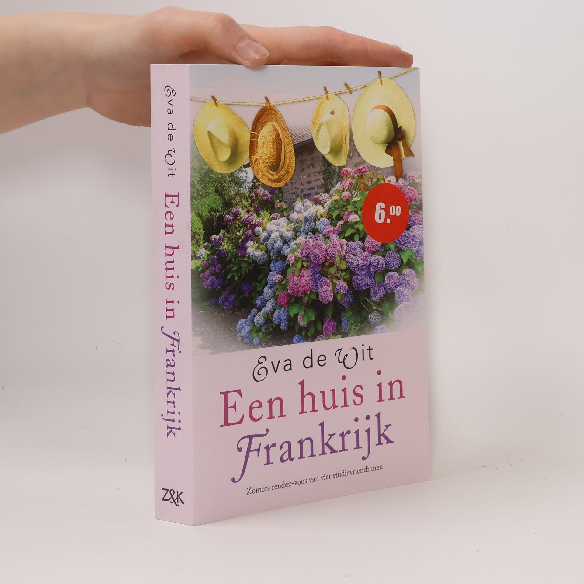 Eva De Wit Een huis in Frankrijk