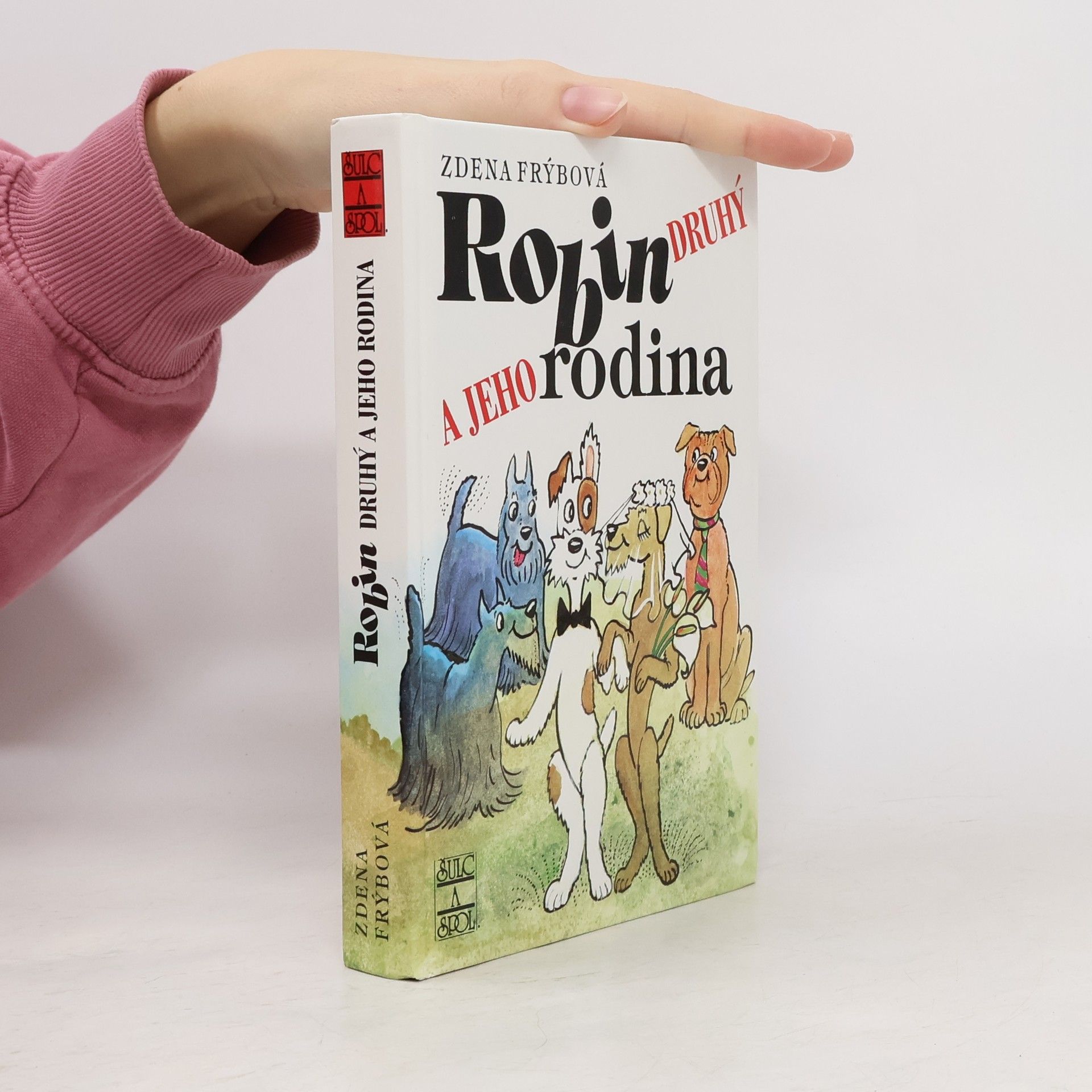 Zdena Frýbová Robin Druhý a jeho rodina