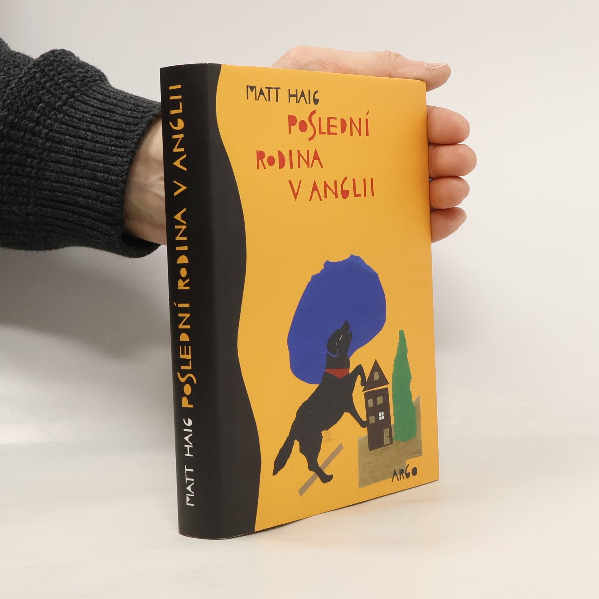 Matt Haig Poslední rodina v Anglii