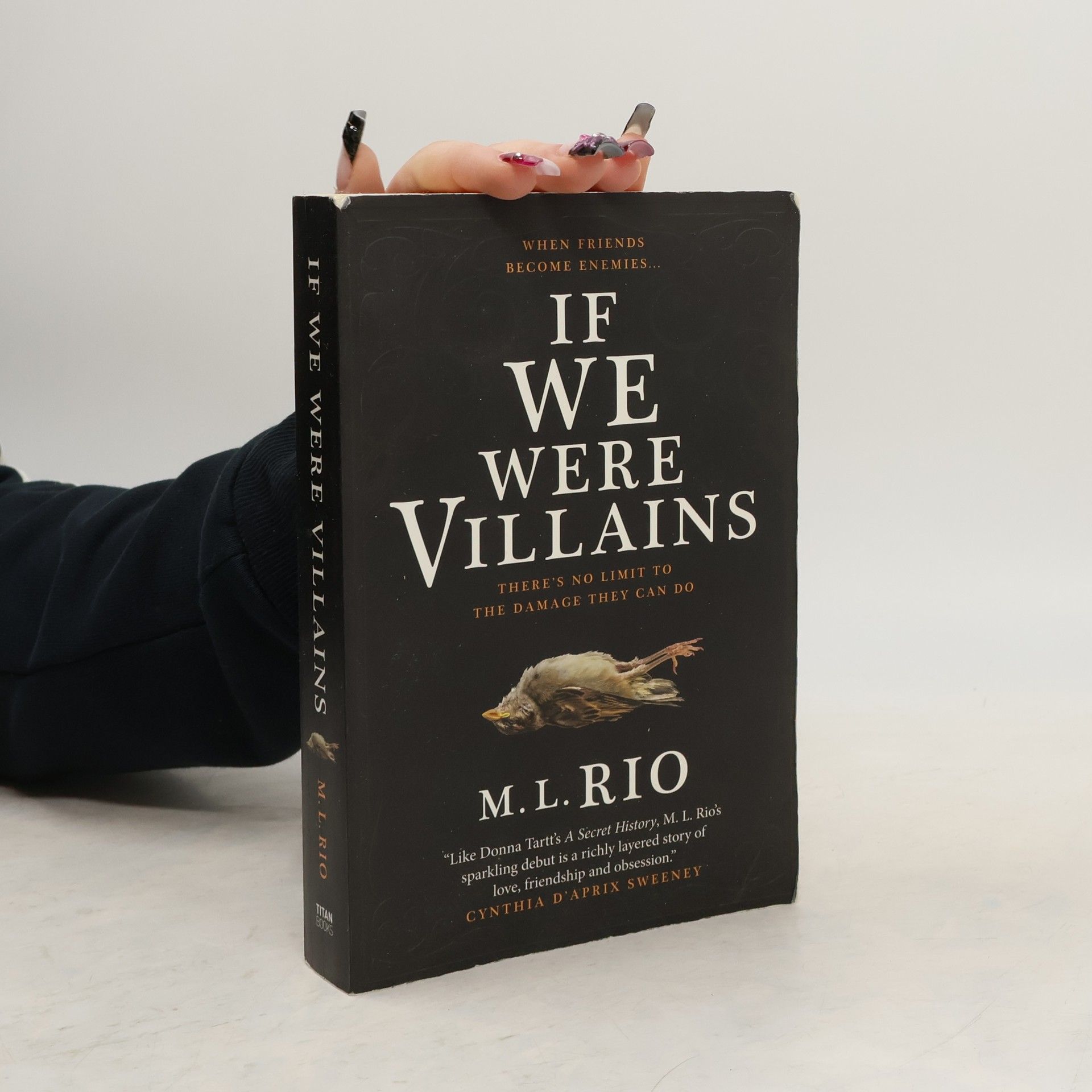 M. L. Rio If We Were Villains
