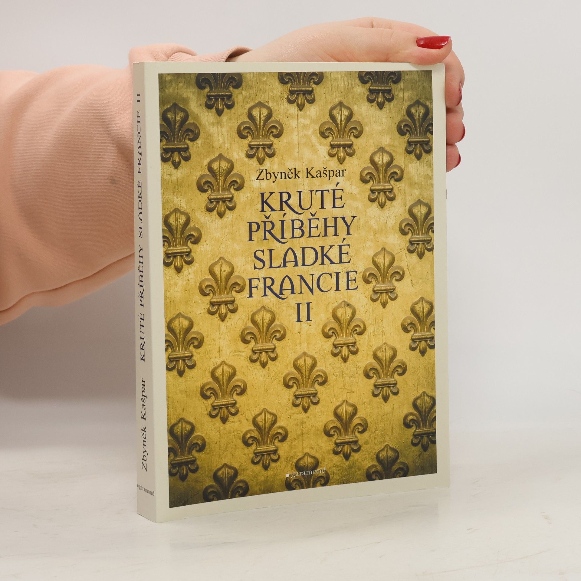 Zbyněk Kašpar Kruté příběhy sladké Francie II.