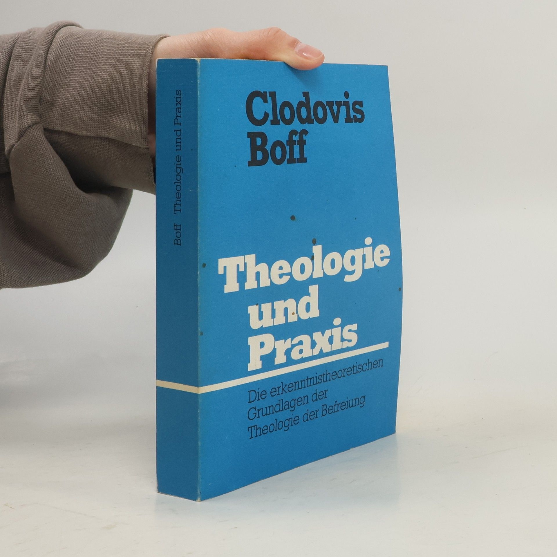 Clodovis Boff Theologie und Praxis