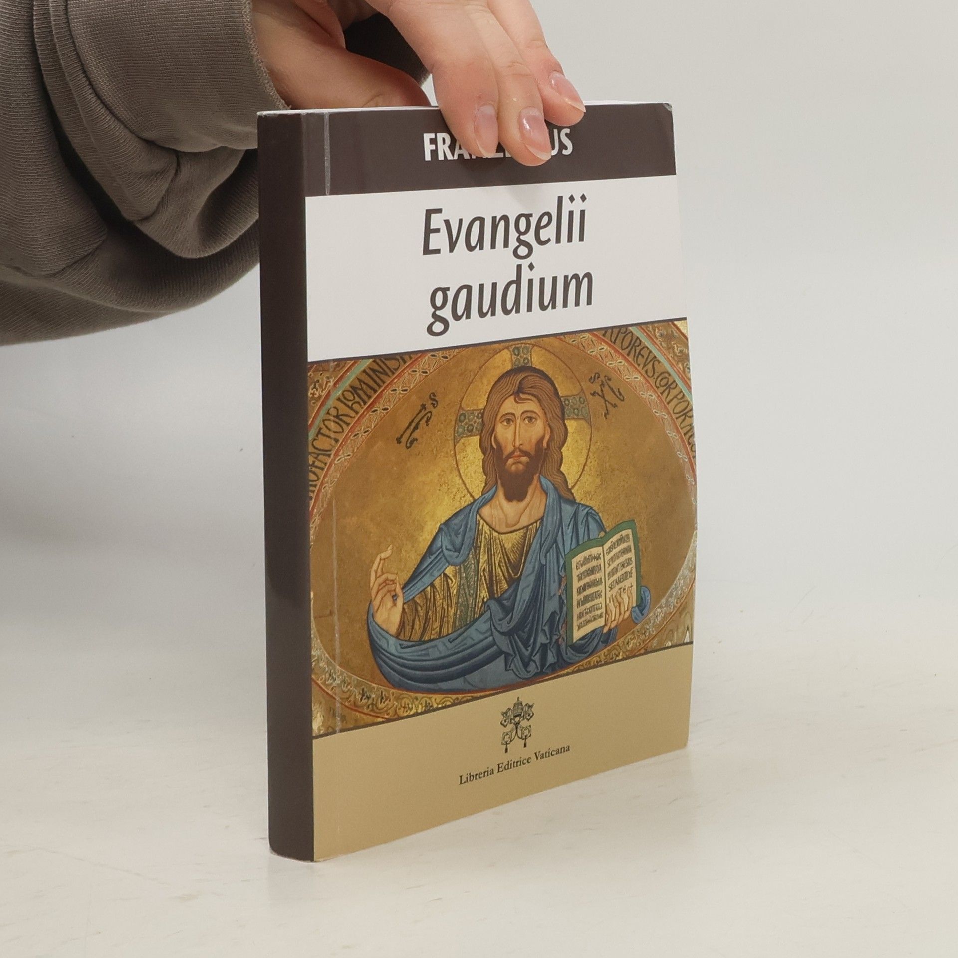 Papež František Evangelii gaudium