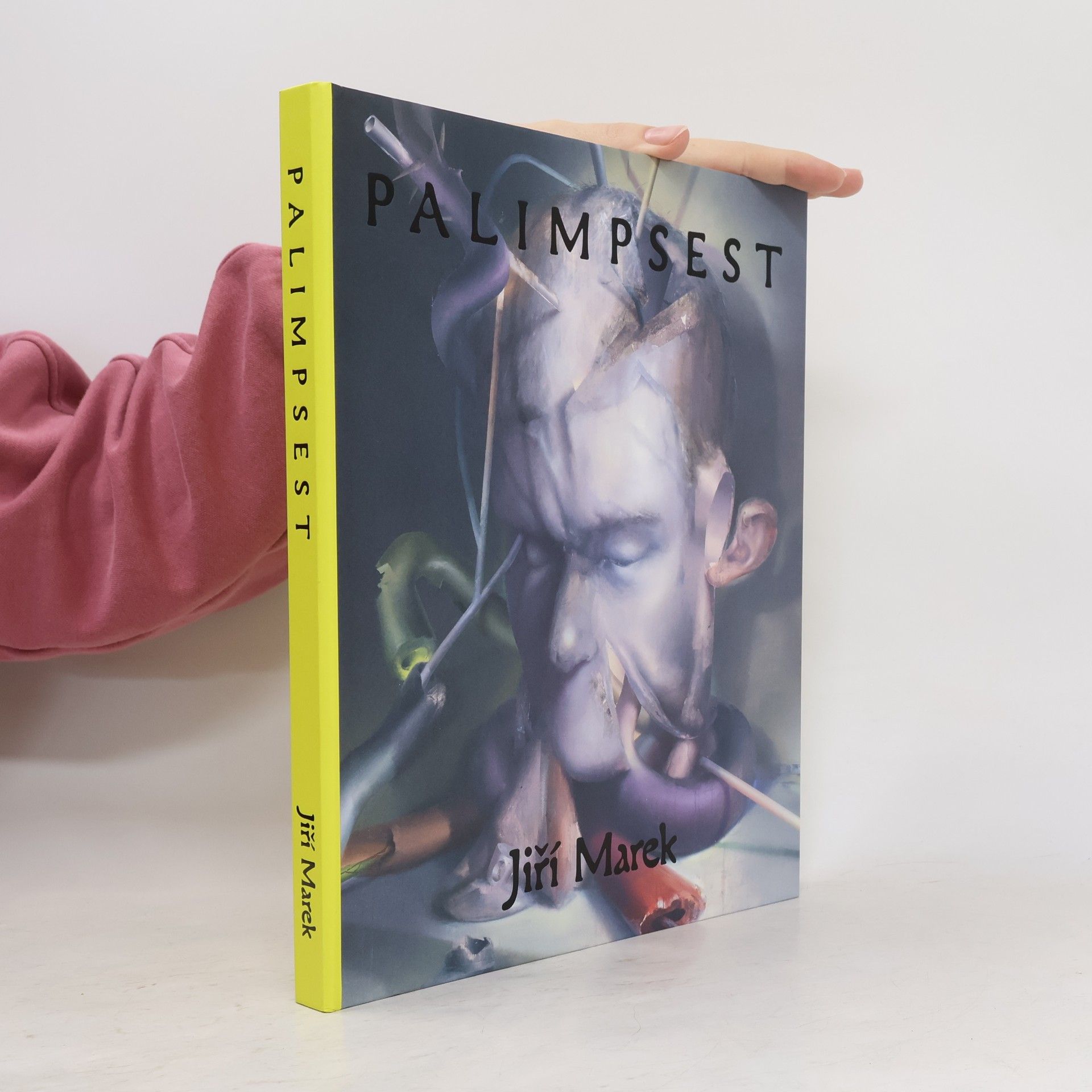 Jiří Marek Palimpsest