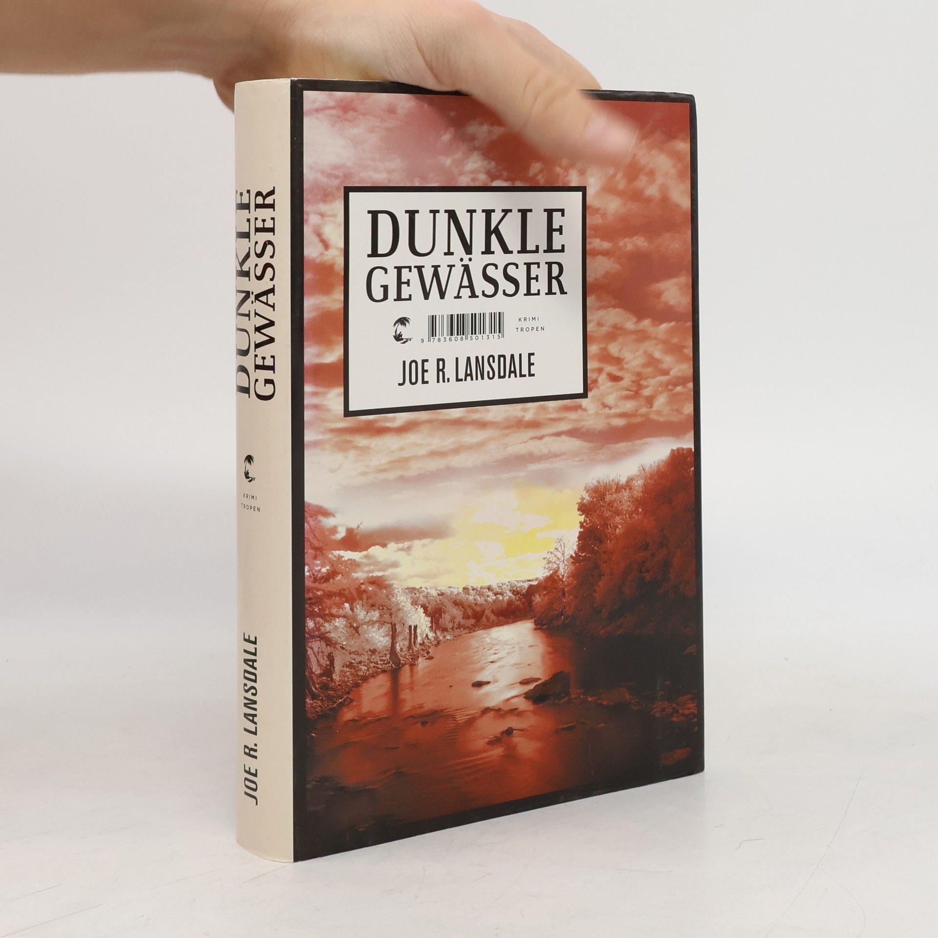 Joe R. Lansdale Dunkle Gewässer