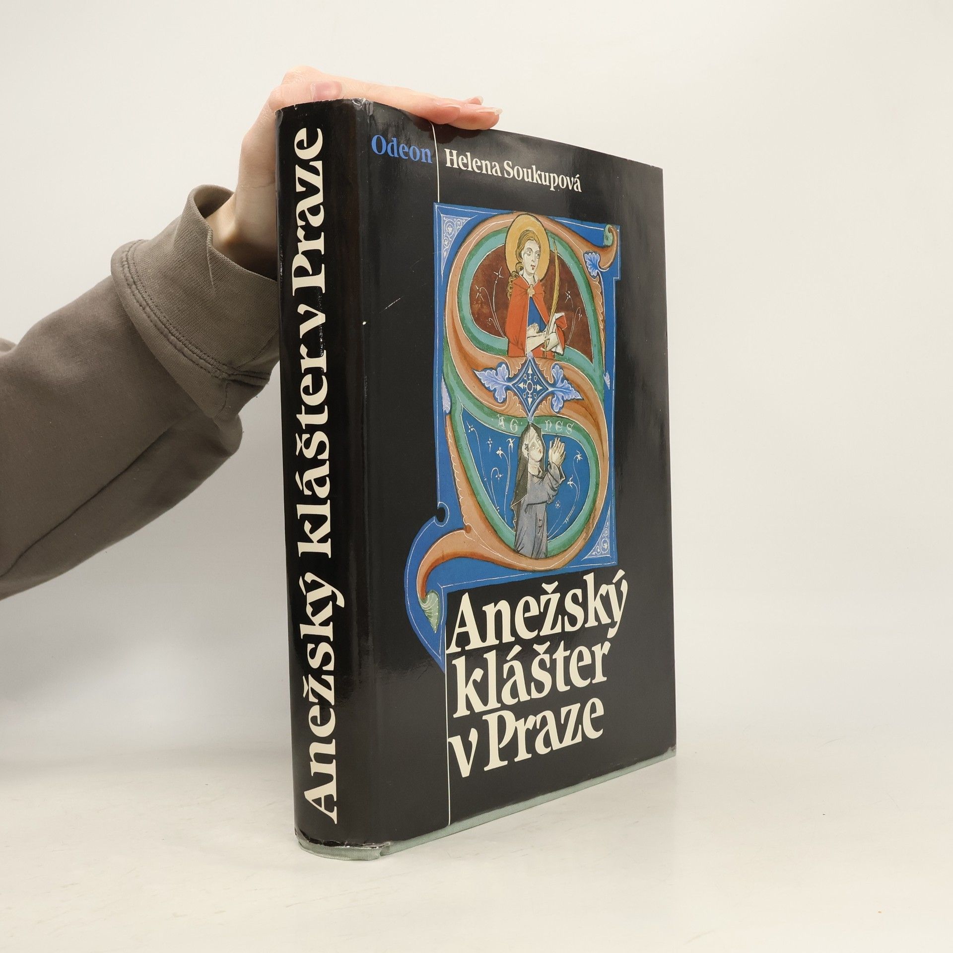 Helena Soukupová Anežský klášter v Praze