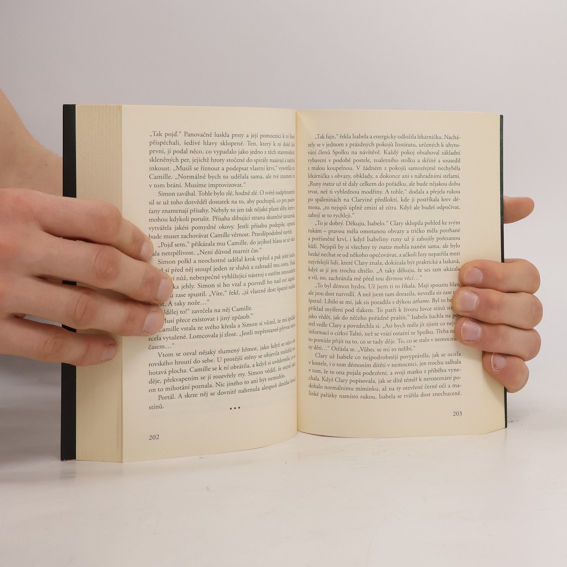 Cassandra Clare Nástroje smrti 4: Město padlých andělů