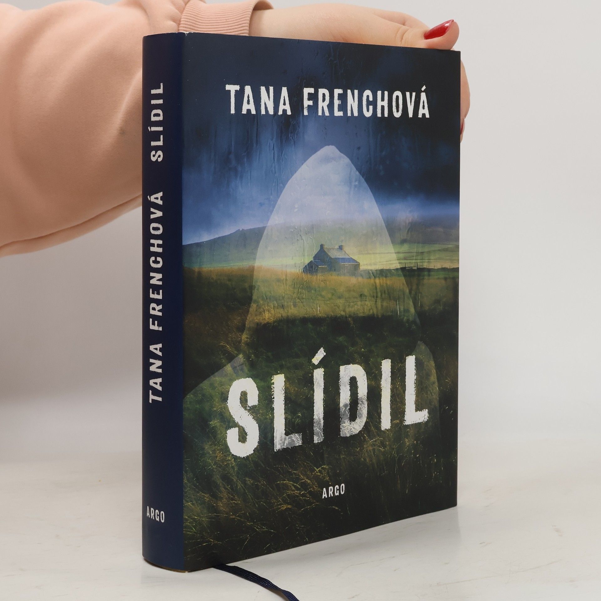 Tana French Slídil