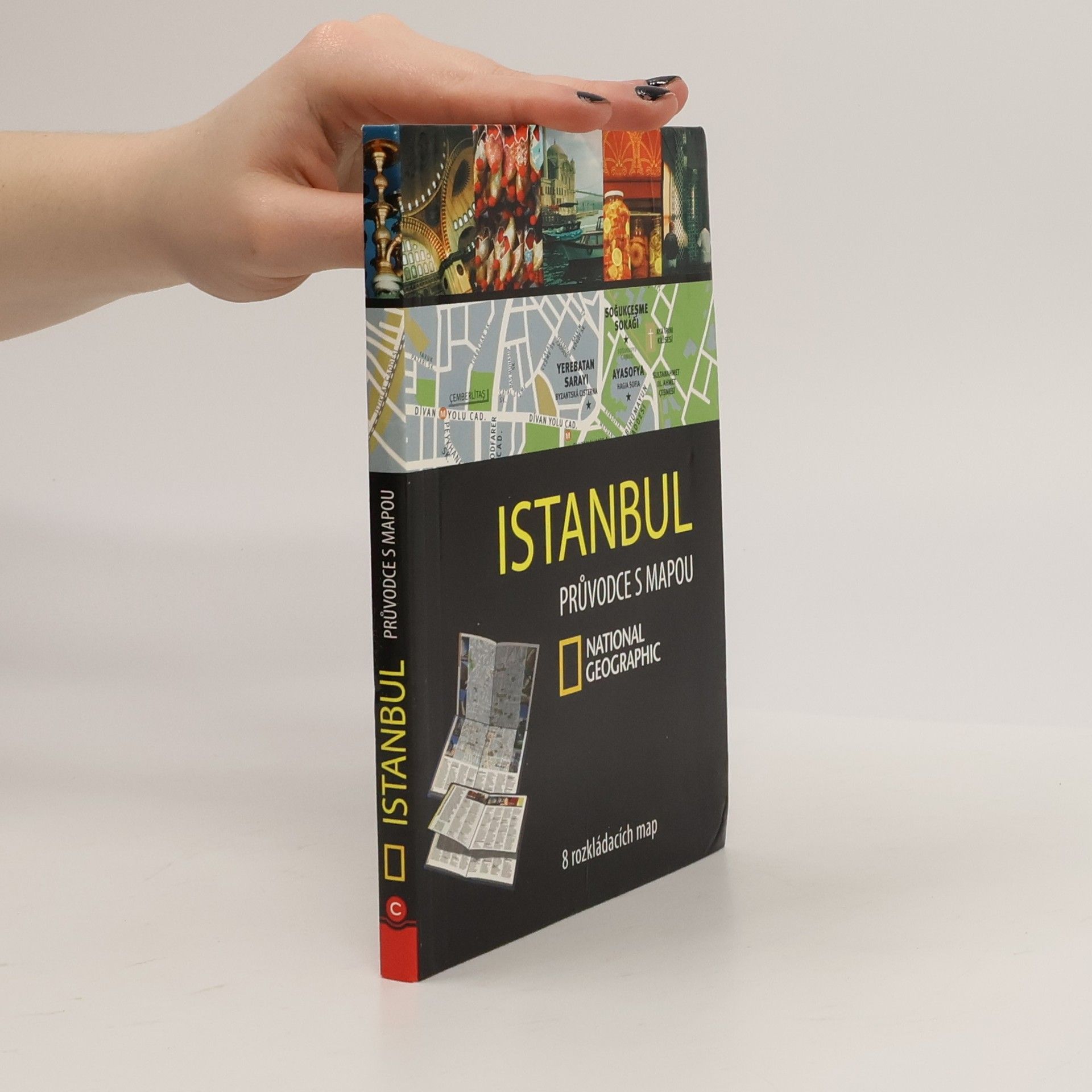 Julie Subtil Istanbul : průvodce s mapou