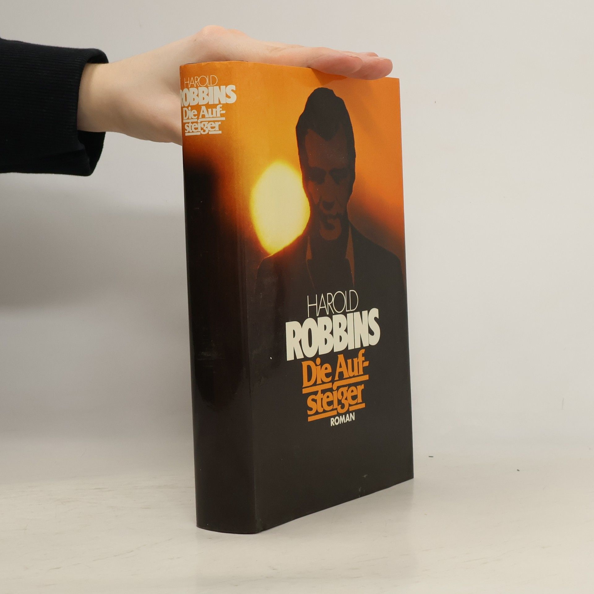 Harold Robbins Die Aufsteiger