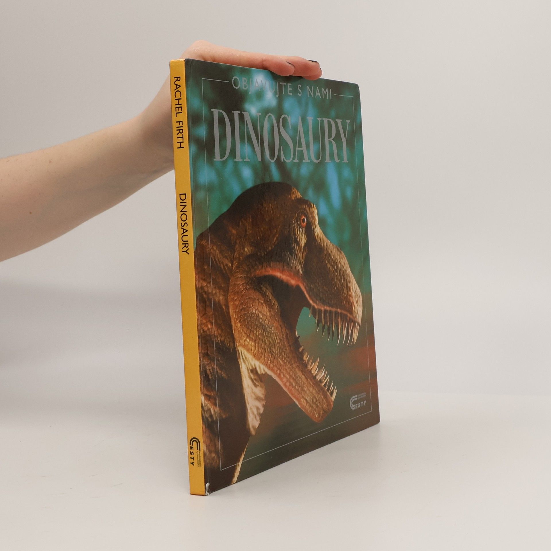 Rachel Firth Dinosaury