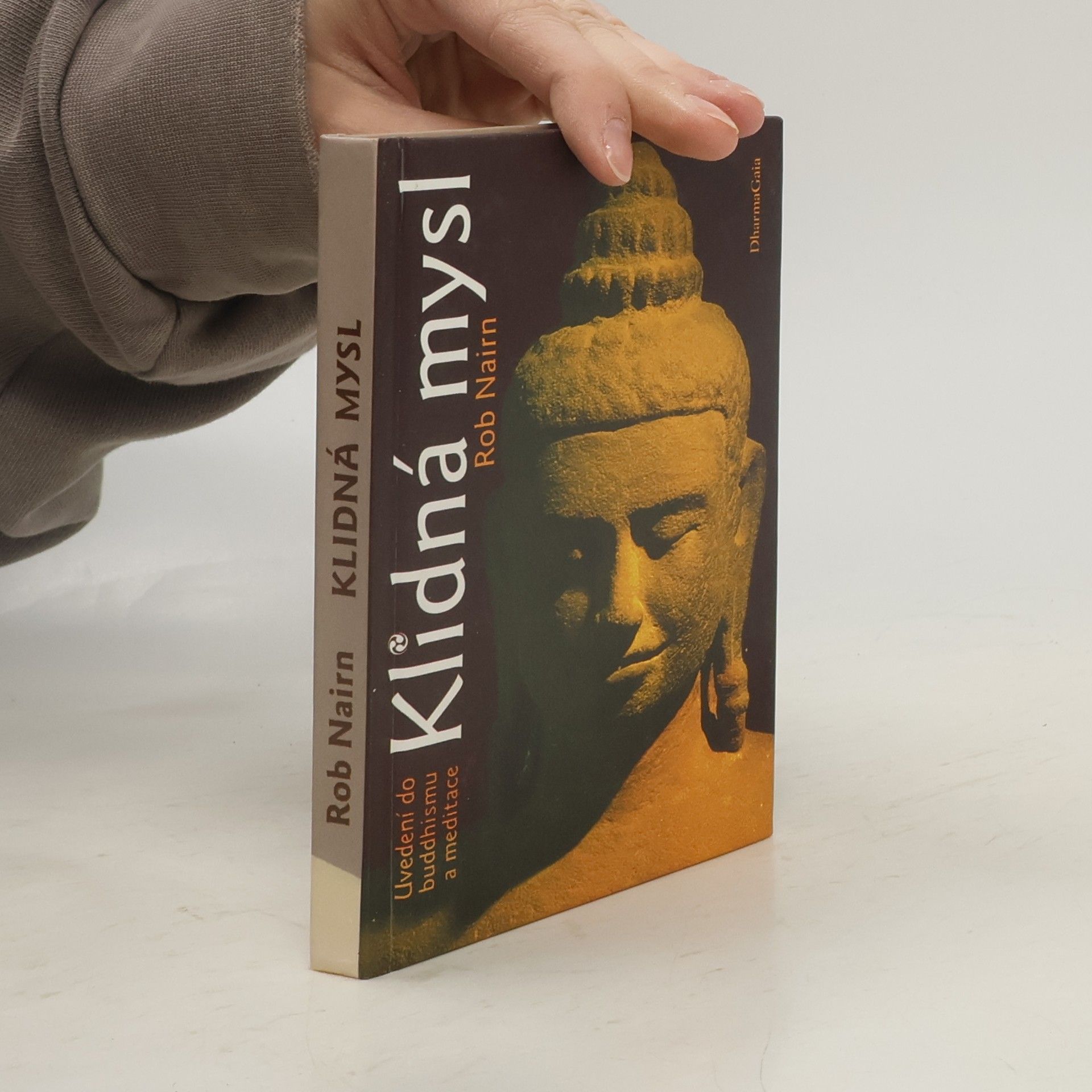 Rob Nairn Klidná mysl: uvedení do buddhismu a meditace