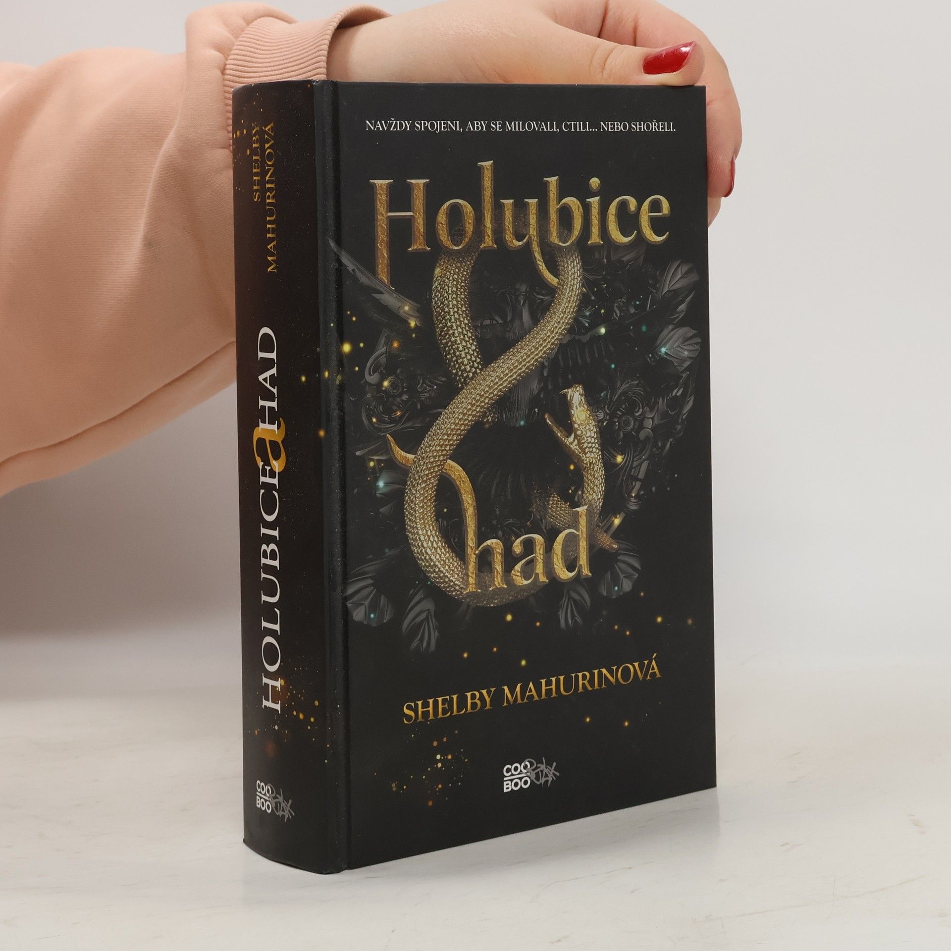 Shelby Mahurin Holubice a had