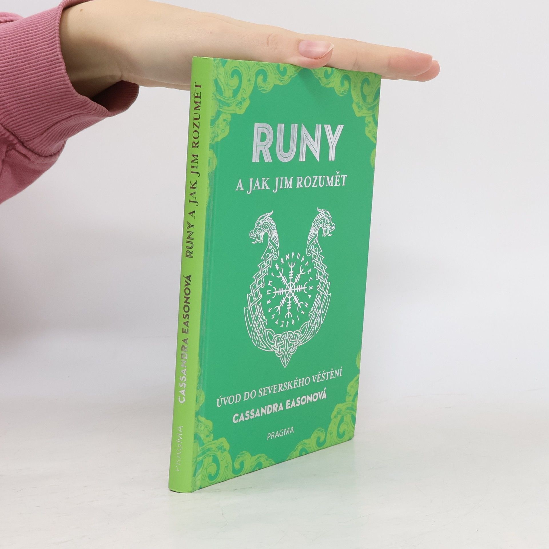 Runy a jak jim rozumět : úvod do severského věštění