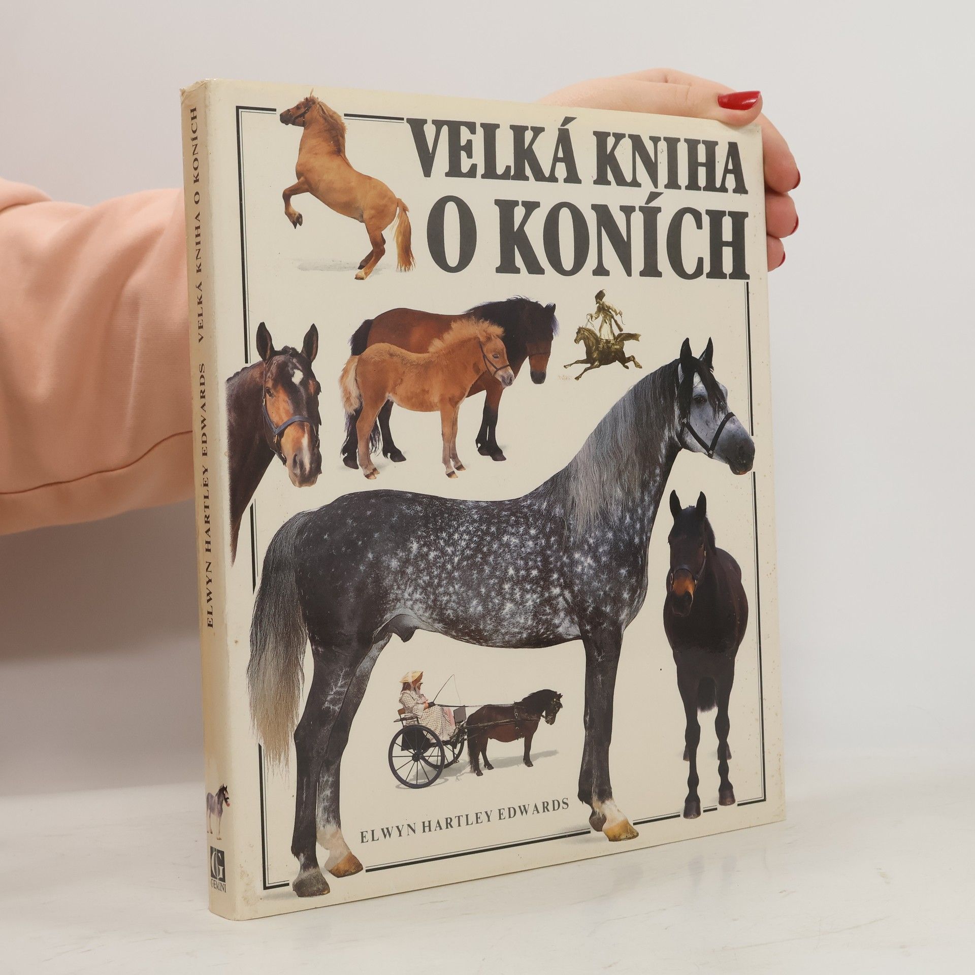 Velká kniha o koních