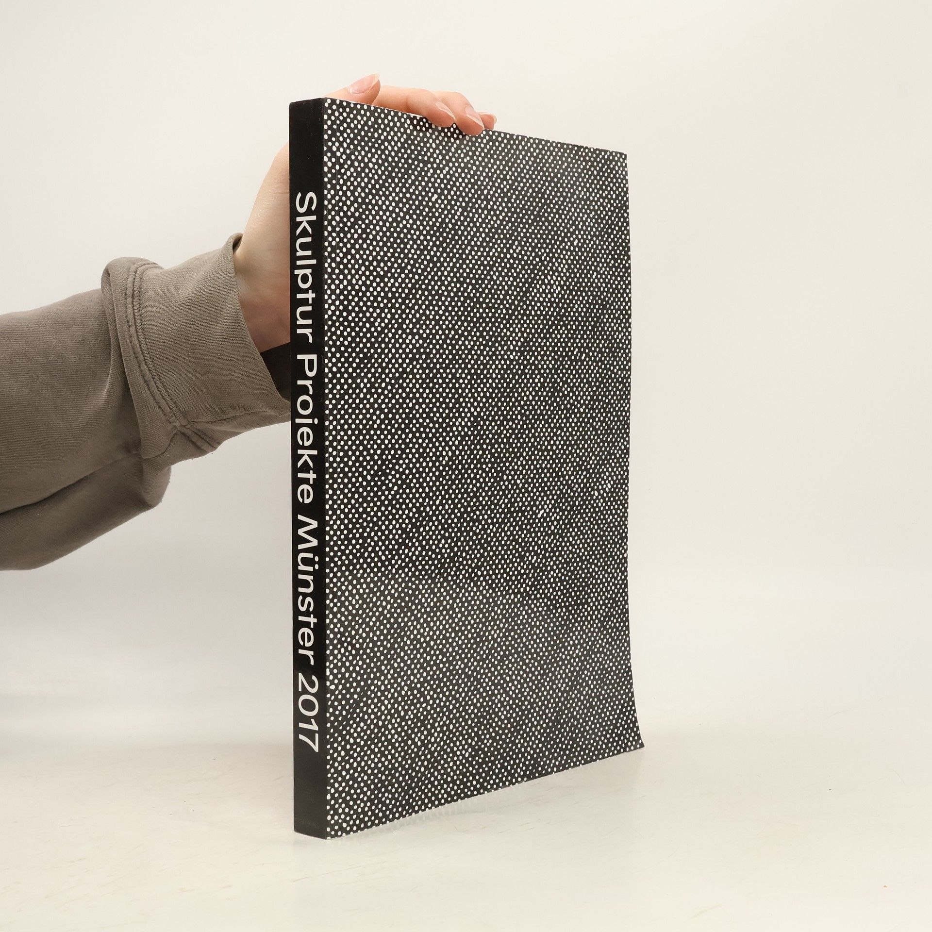 Skulptur Projekte Münster 2017