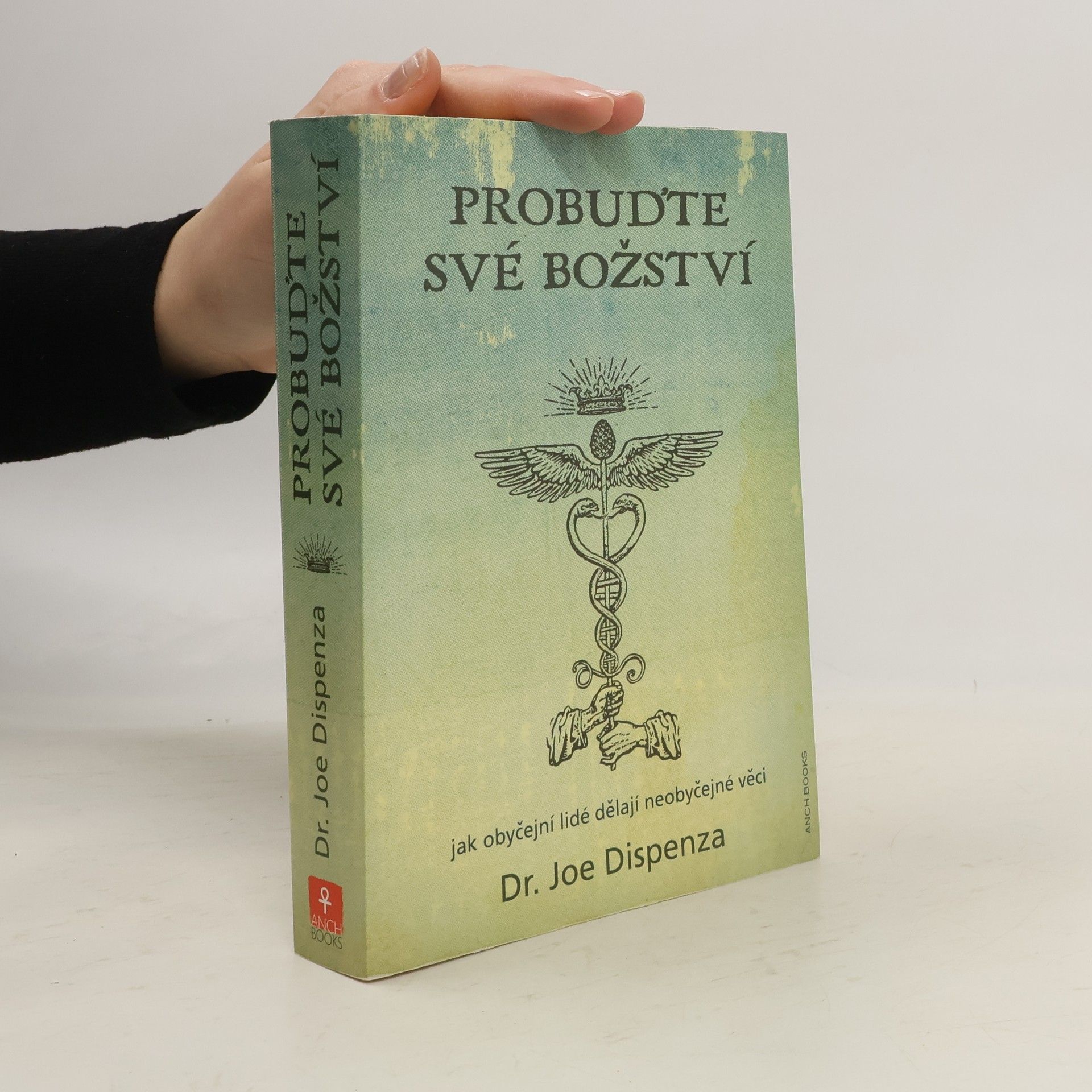 Joe Dispenza Probuďte své božství : jak obyčejní lidé dělají neobyčejné věci