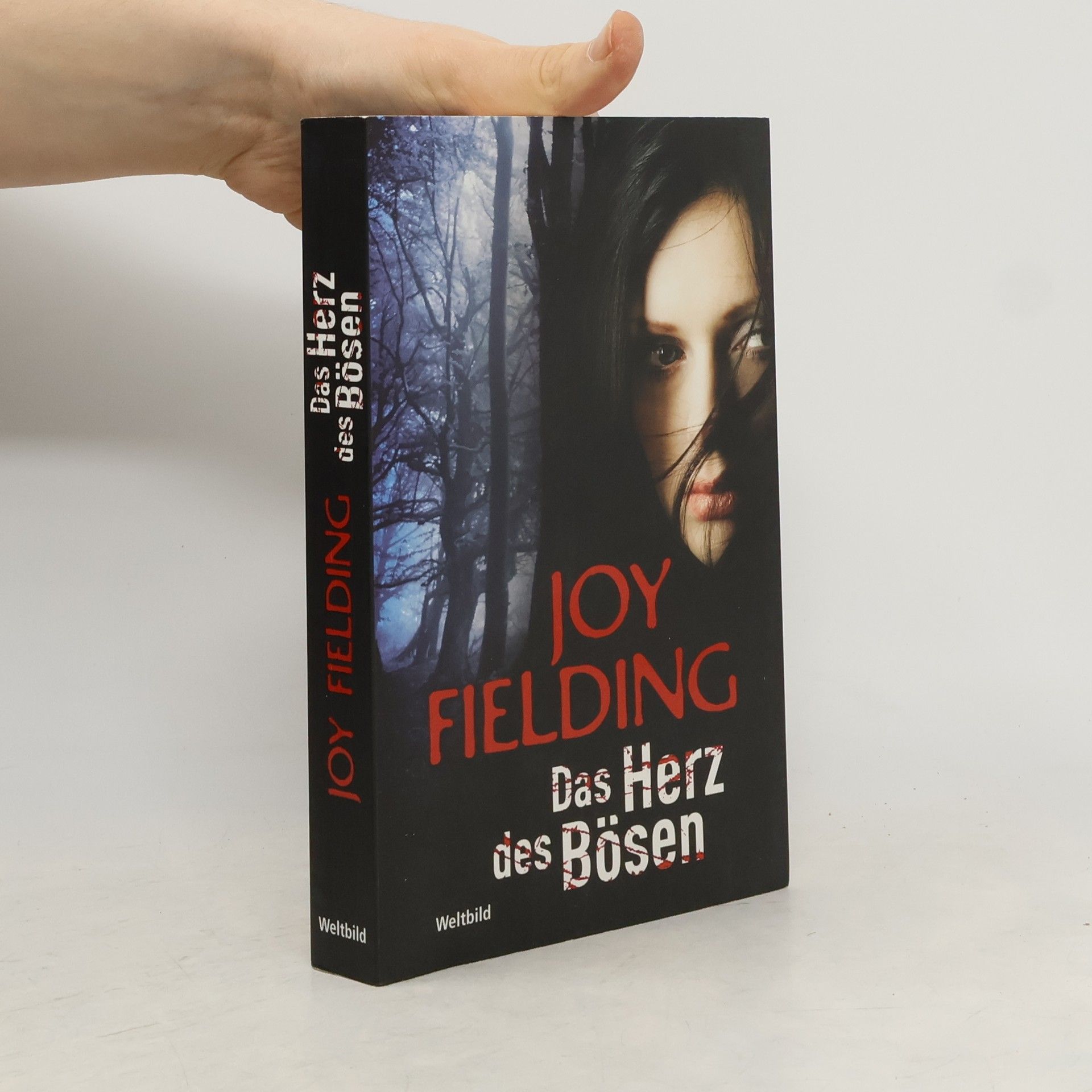 Joy Fielding Das Herz des Bösen
