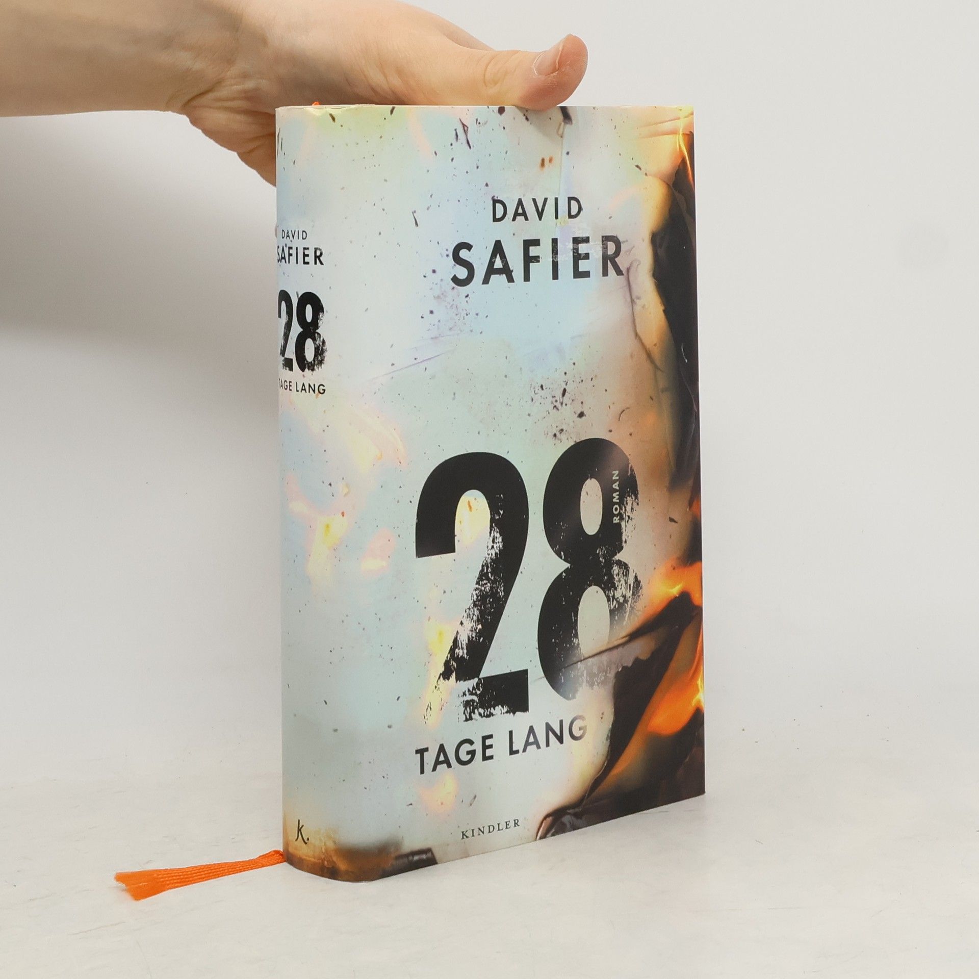 David Safier 28 Tage lang