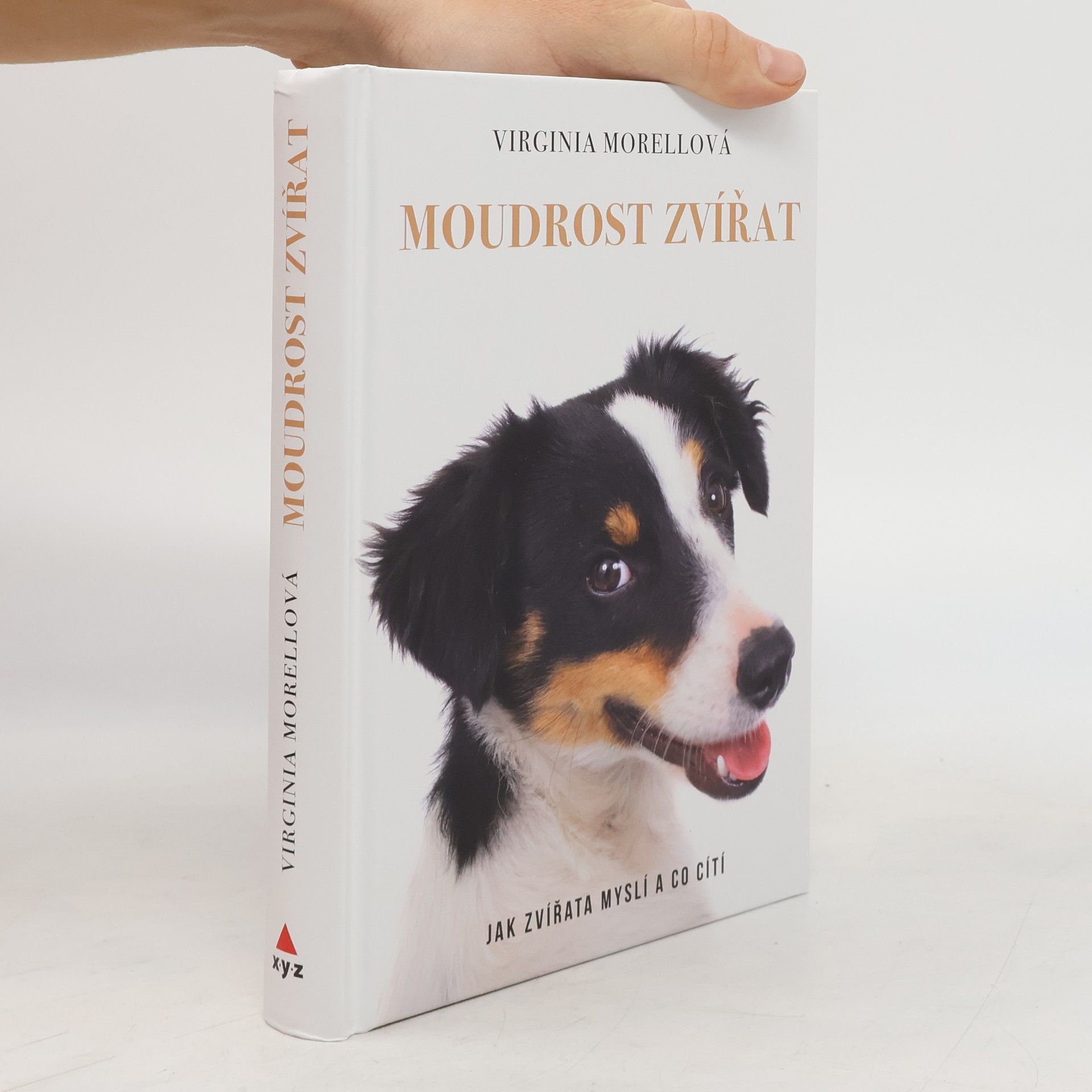 Virginia Morell Moudrost zvířat - Jak zvířata myslí a co cítí