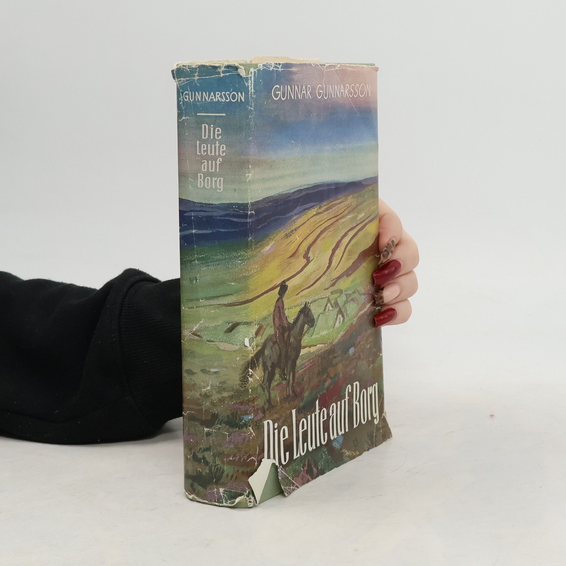 Gunnar Gunnarsson Die Leute auf Borg
