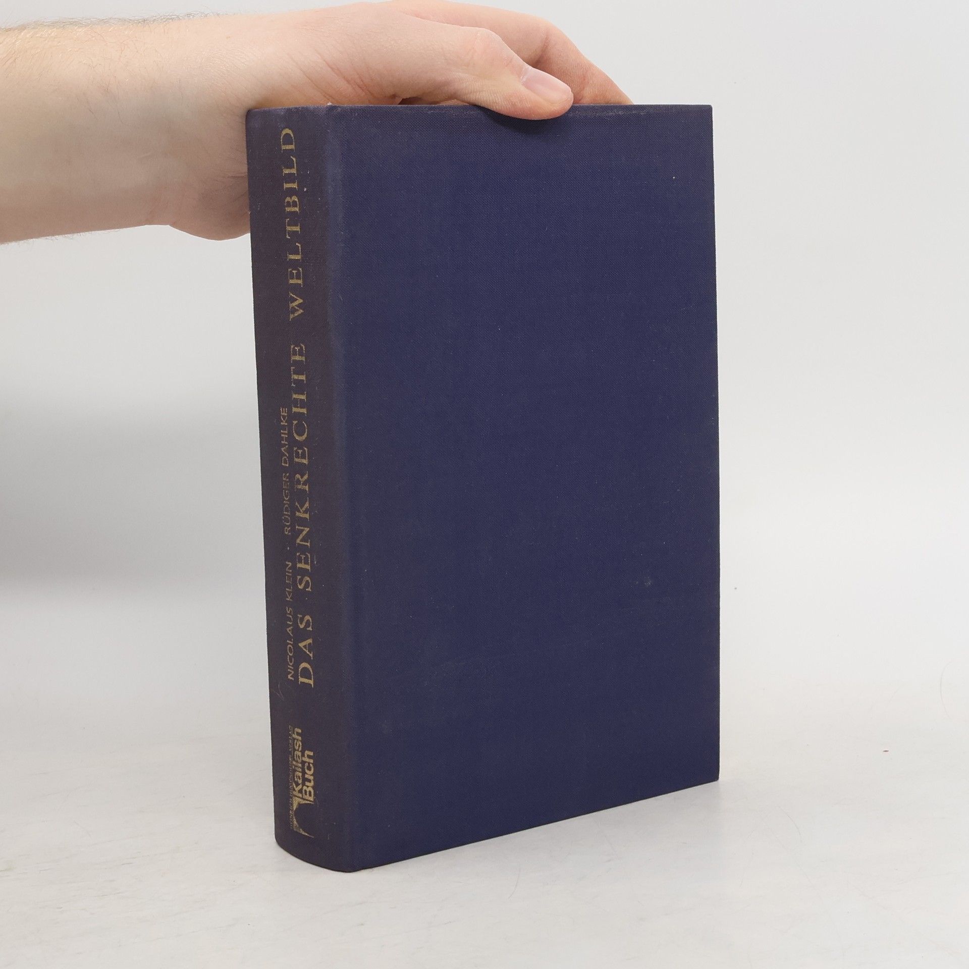 Nicolaus Klein Das senkrechte Weltbild