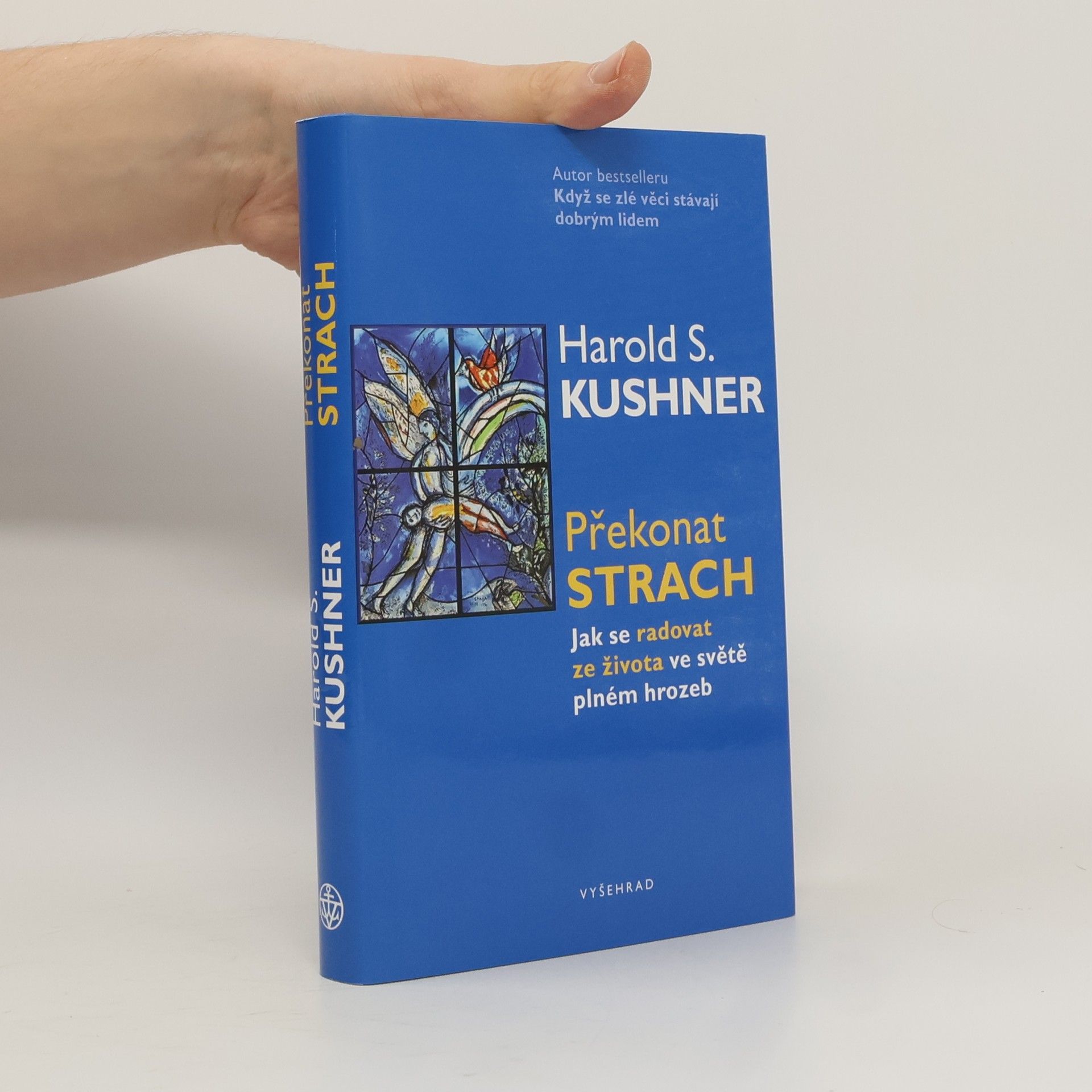 Harold S. Kushner Překonat strach