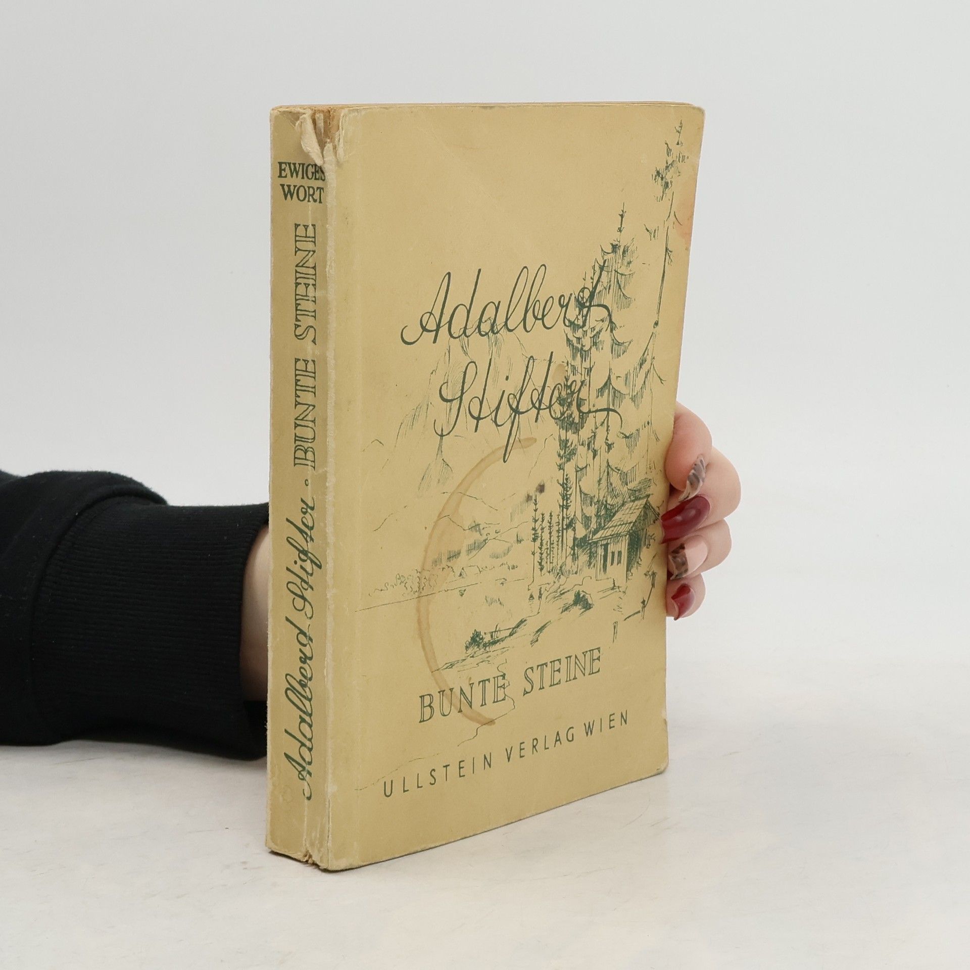 Adalbert Stifter Bunte Steine