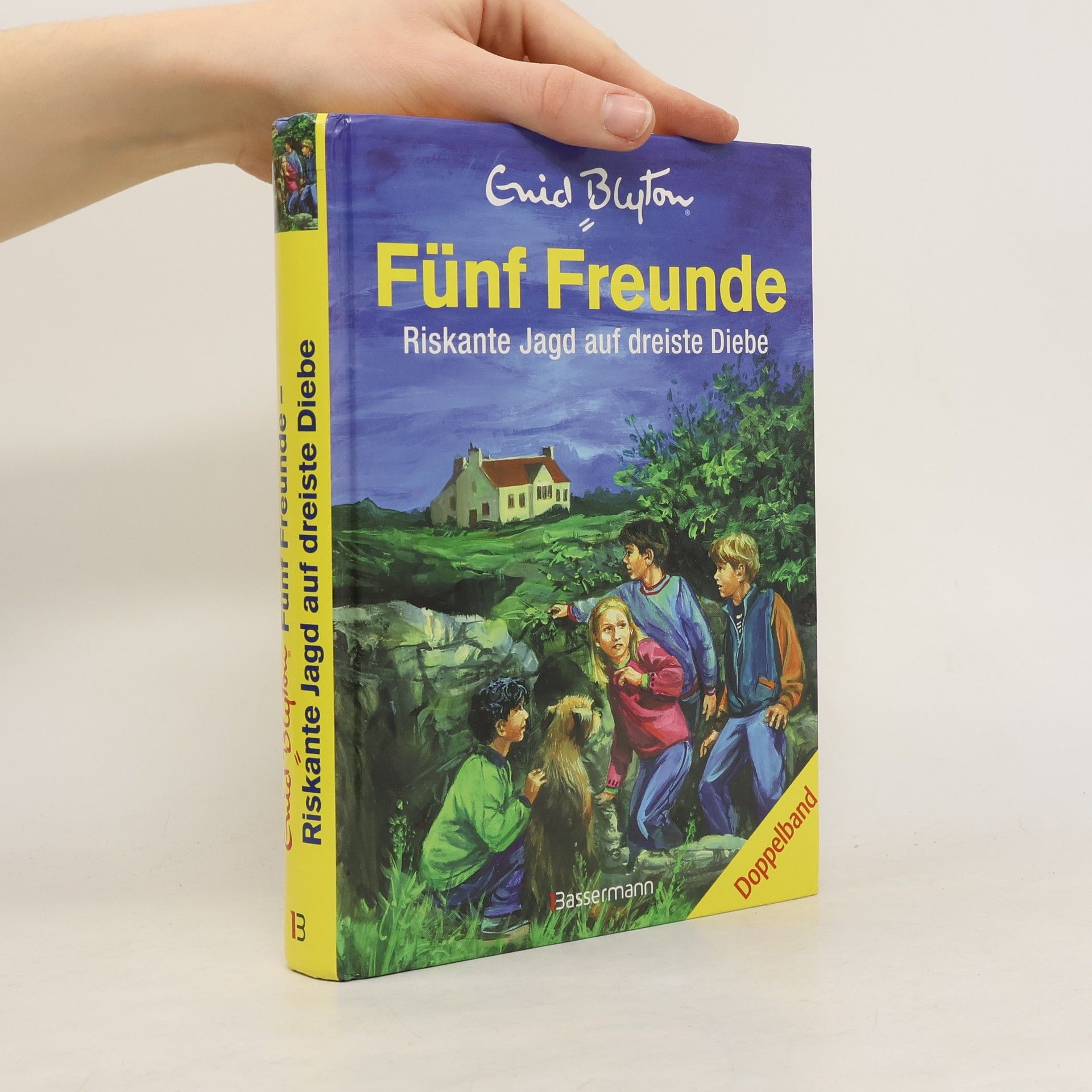 Claude Voilier Fünf Freunde - riskante Jagd auf dreiste Diebe