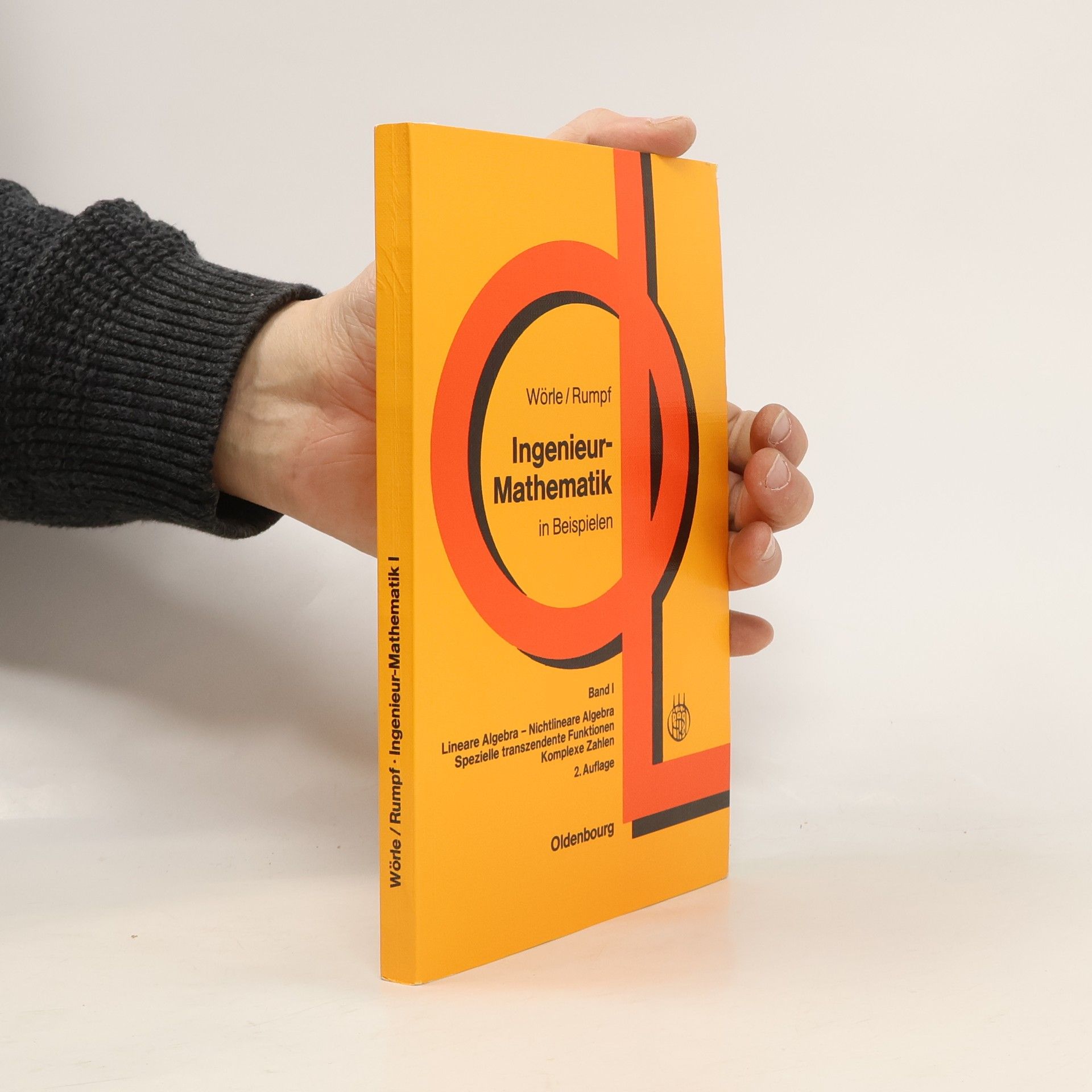 Ingenieur-Mathematik in Beispielen