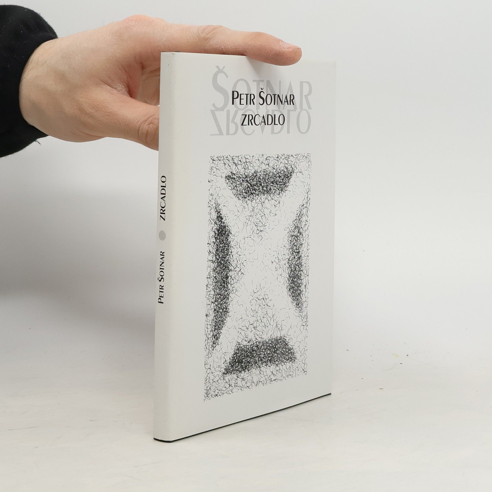 Petr Šotnar Zrcadlo