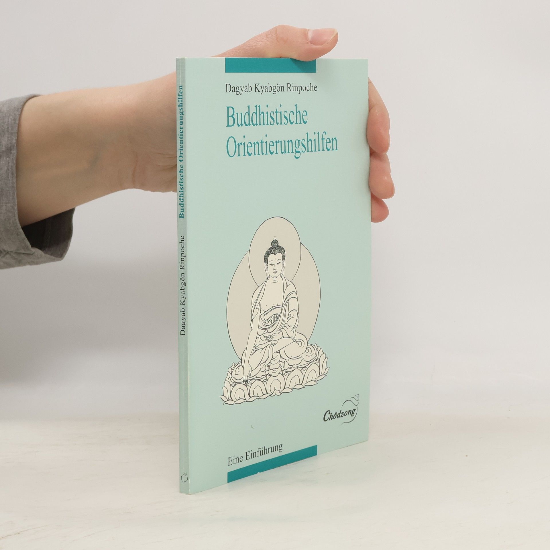 Dagyab Kyabgön Rinpoche Buddhistische Orientierungshilfen