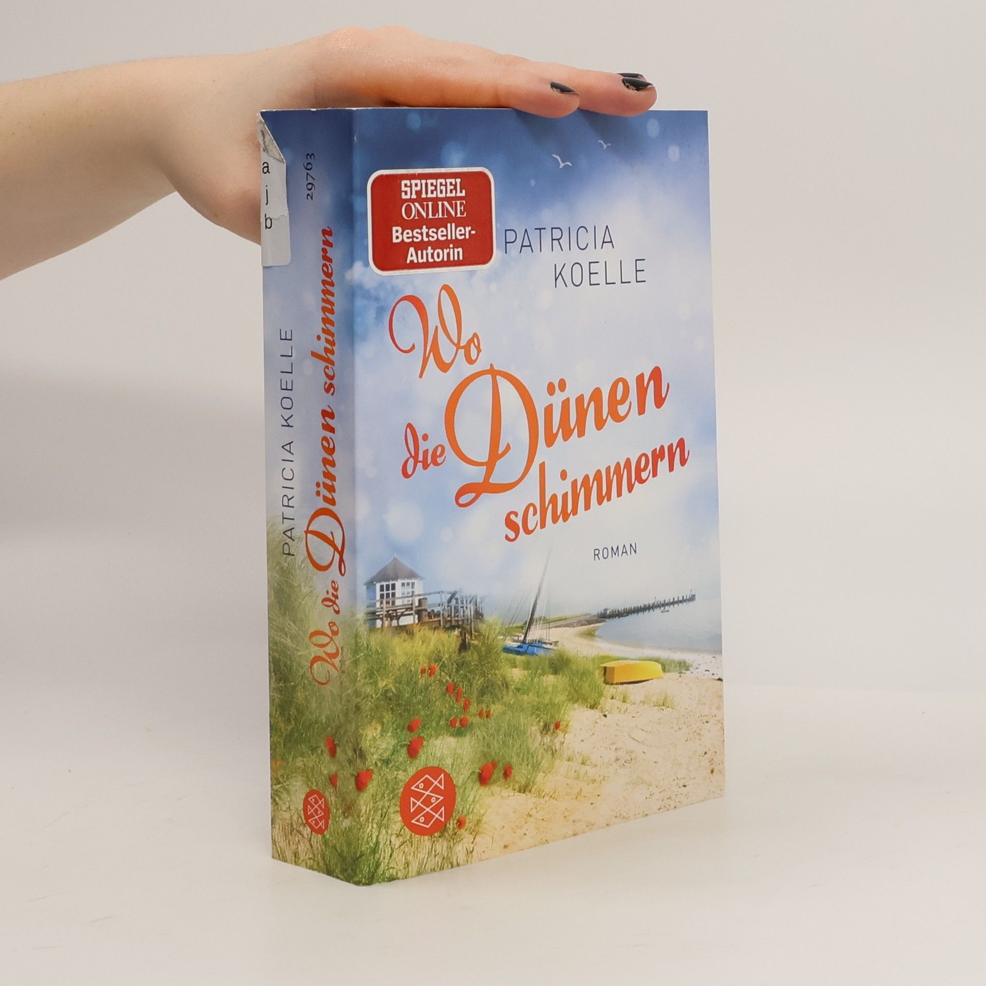 Patricia Koelle Wo die Dünen schimmern