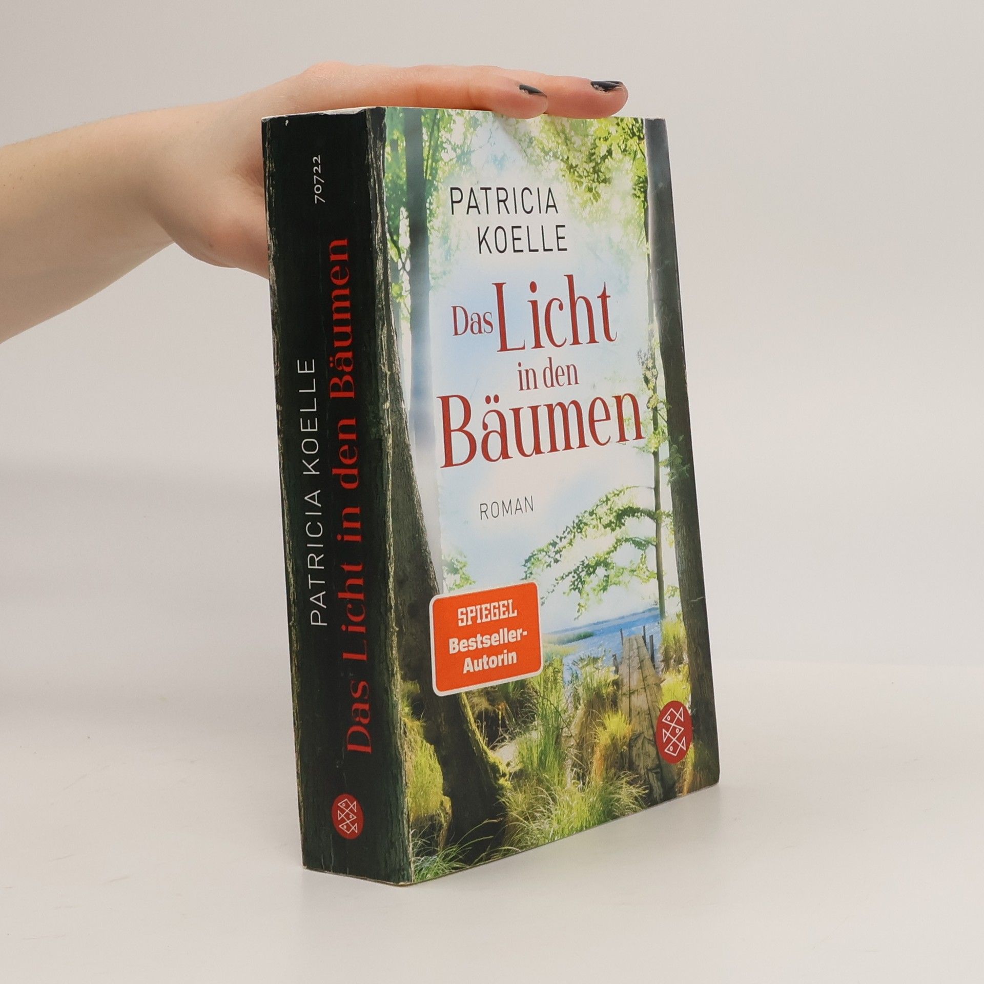 Das Licht in den Bäumen