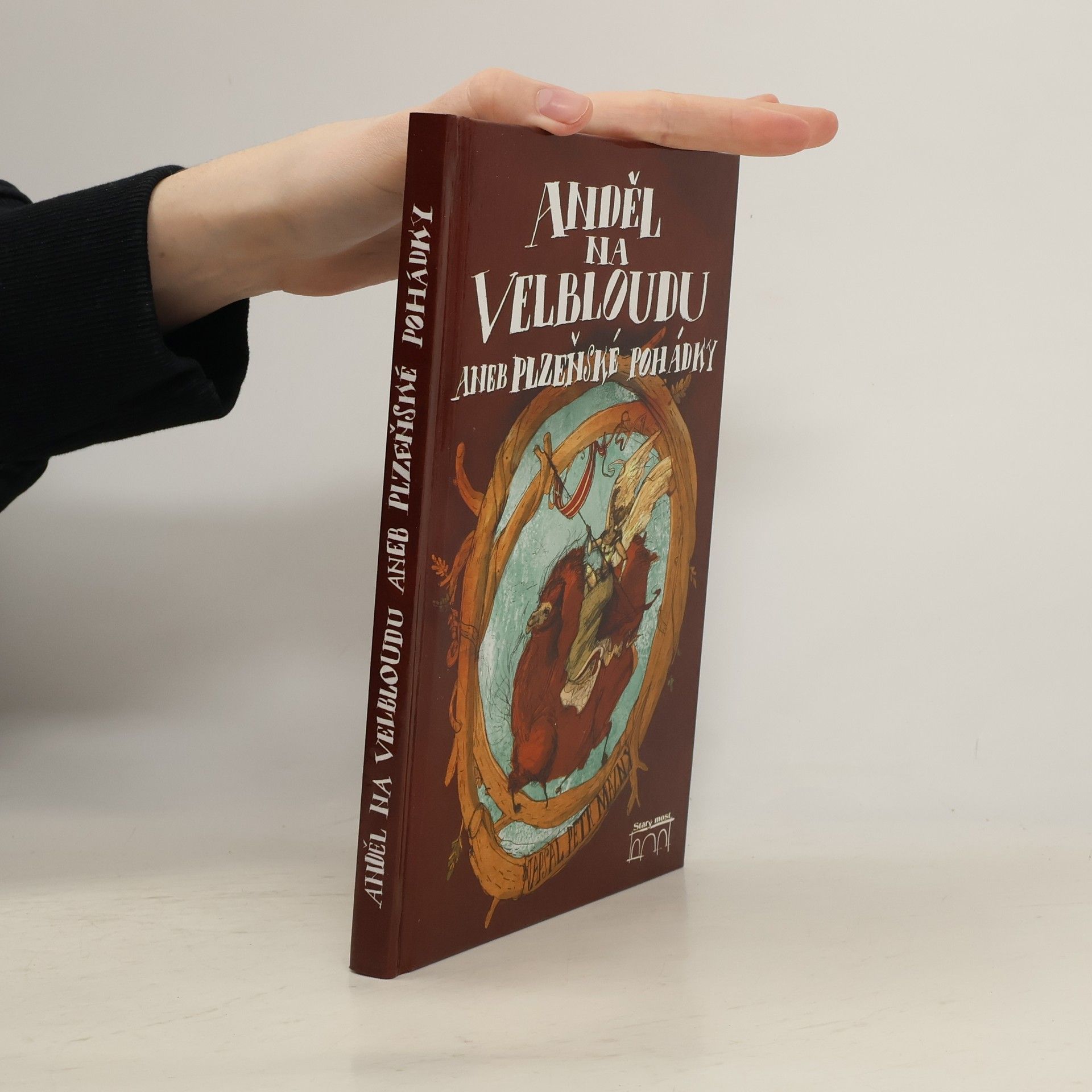 Anděl na velbloudu, aneb, Plzeňské pohádky