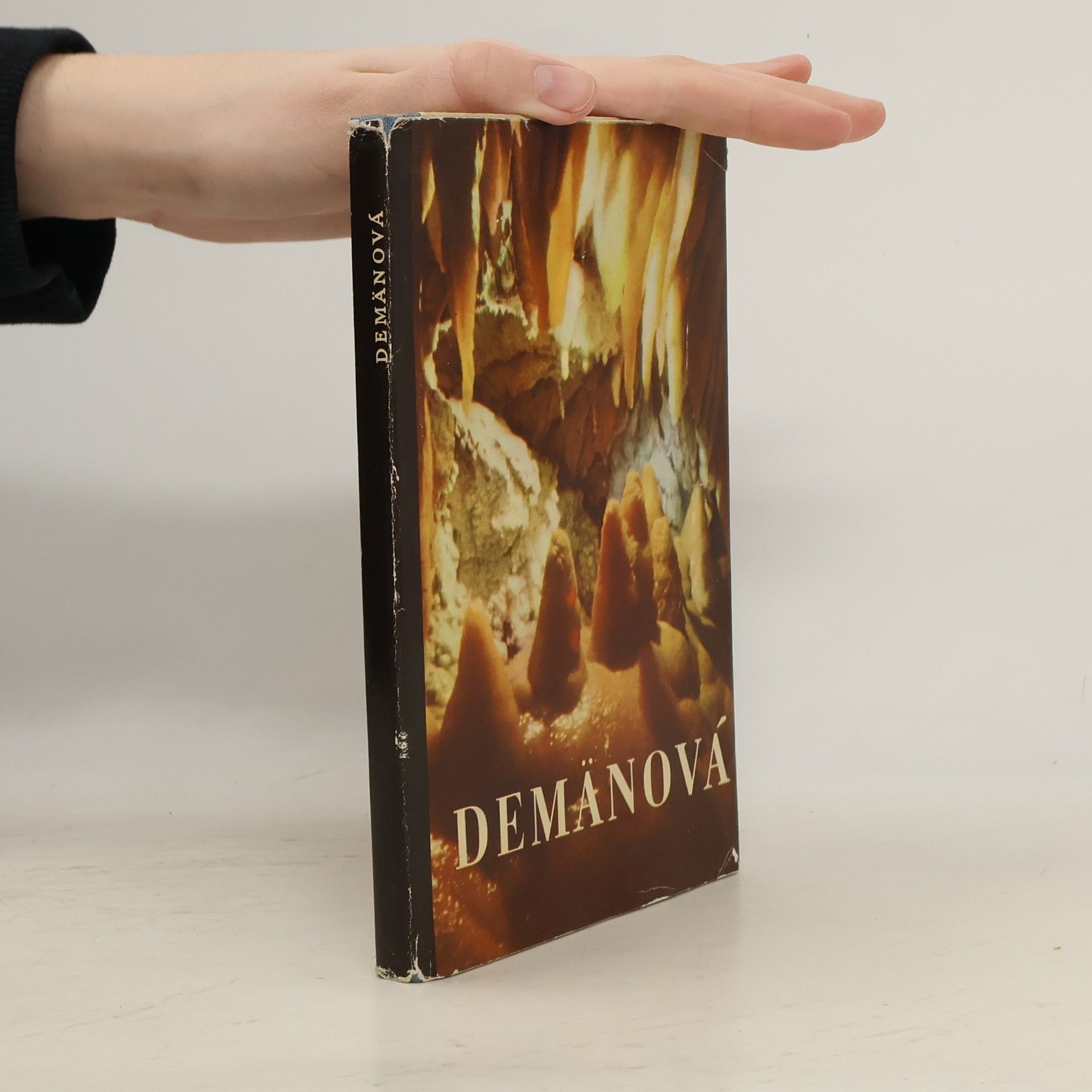 Ján Hajduch Demänová