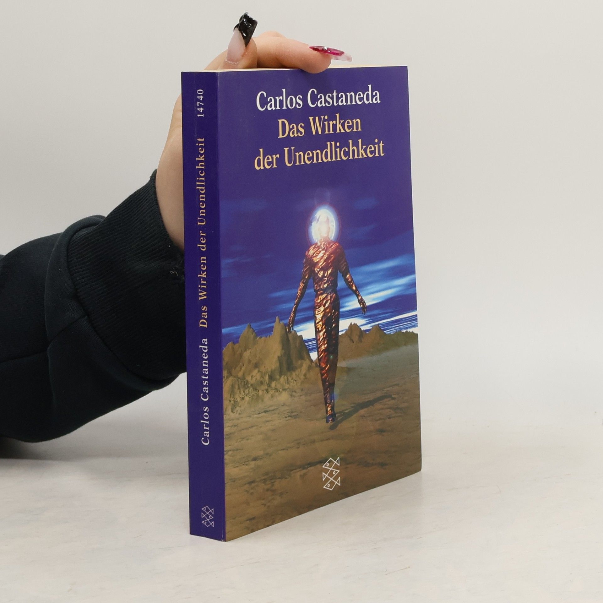 Carlos Castañeda Das Wirken der Unendlichkeit