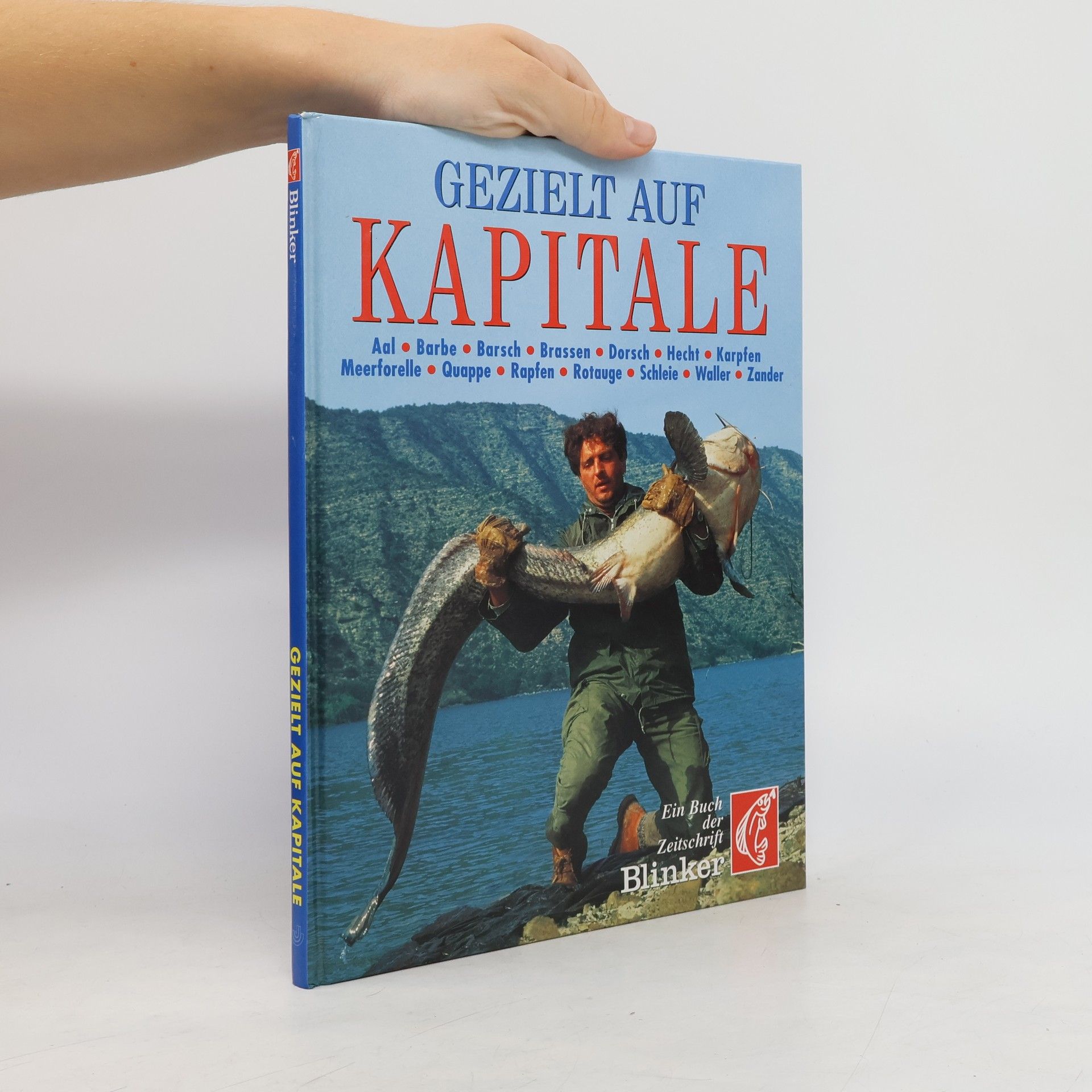 Blinker: Gezielt auf Kapitale