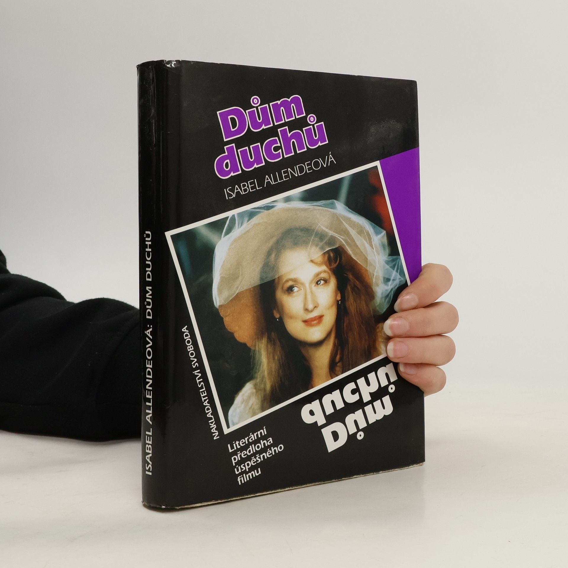 Isabel Allende Dům duchů