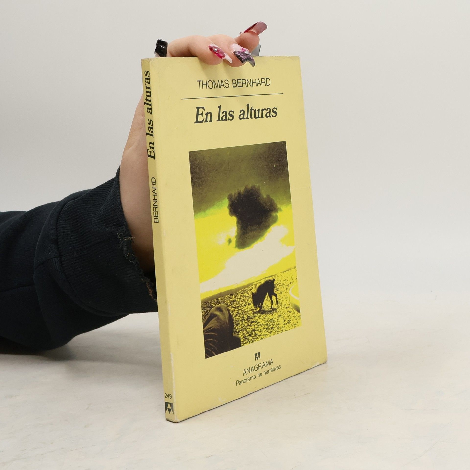 Miguel Sáenz Panorama de narrativas - 249: En las alturas