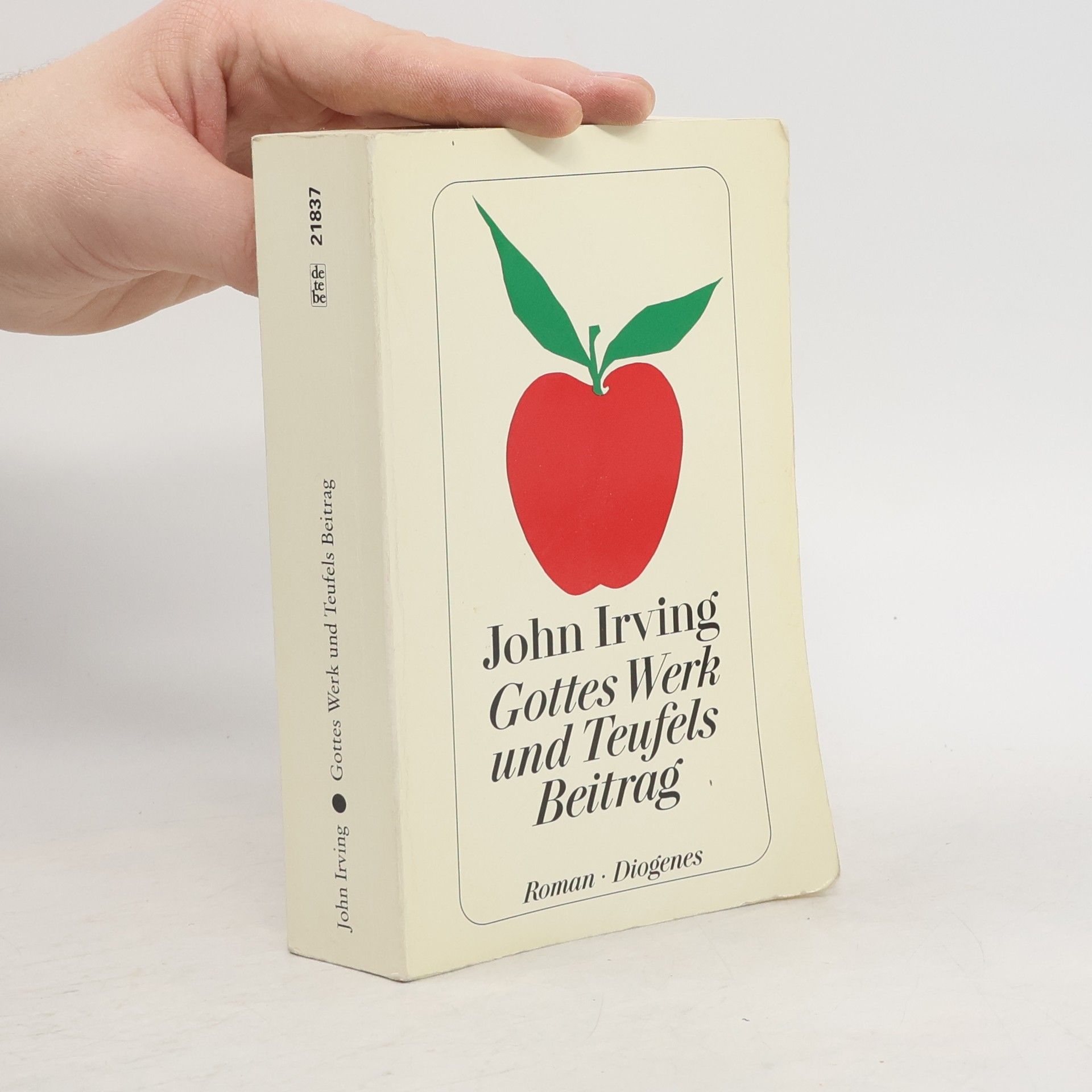 John Irving Gottes Werk und Teufels Beitrag