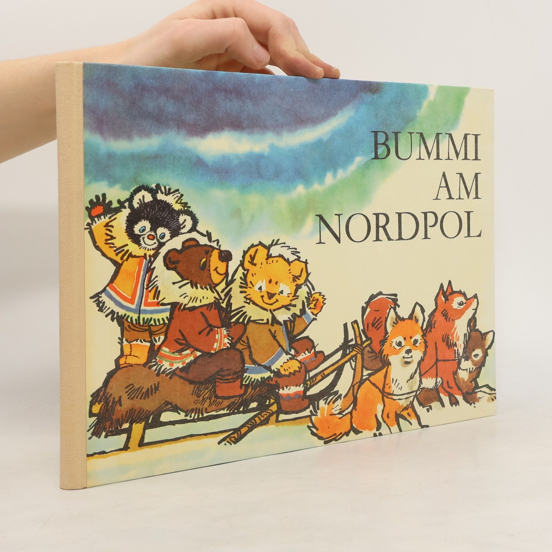 Kolektiv autorů Bummi am Nordpol