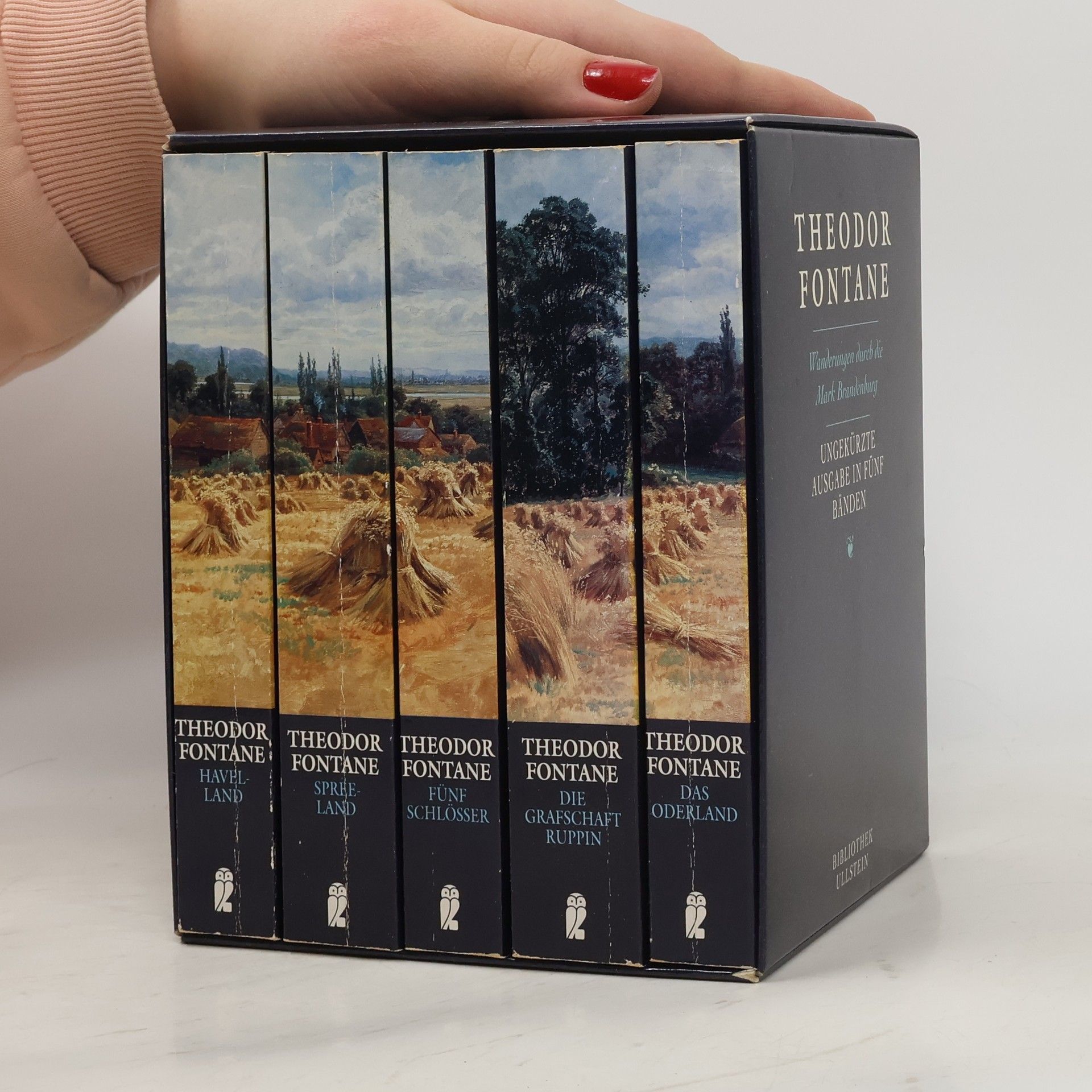 Theodor Fontane Wanderungen durch die Mark Brandenburg. Ungekürzte Ausgabe in fünf Bänden