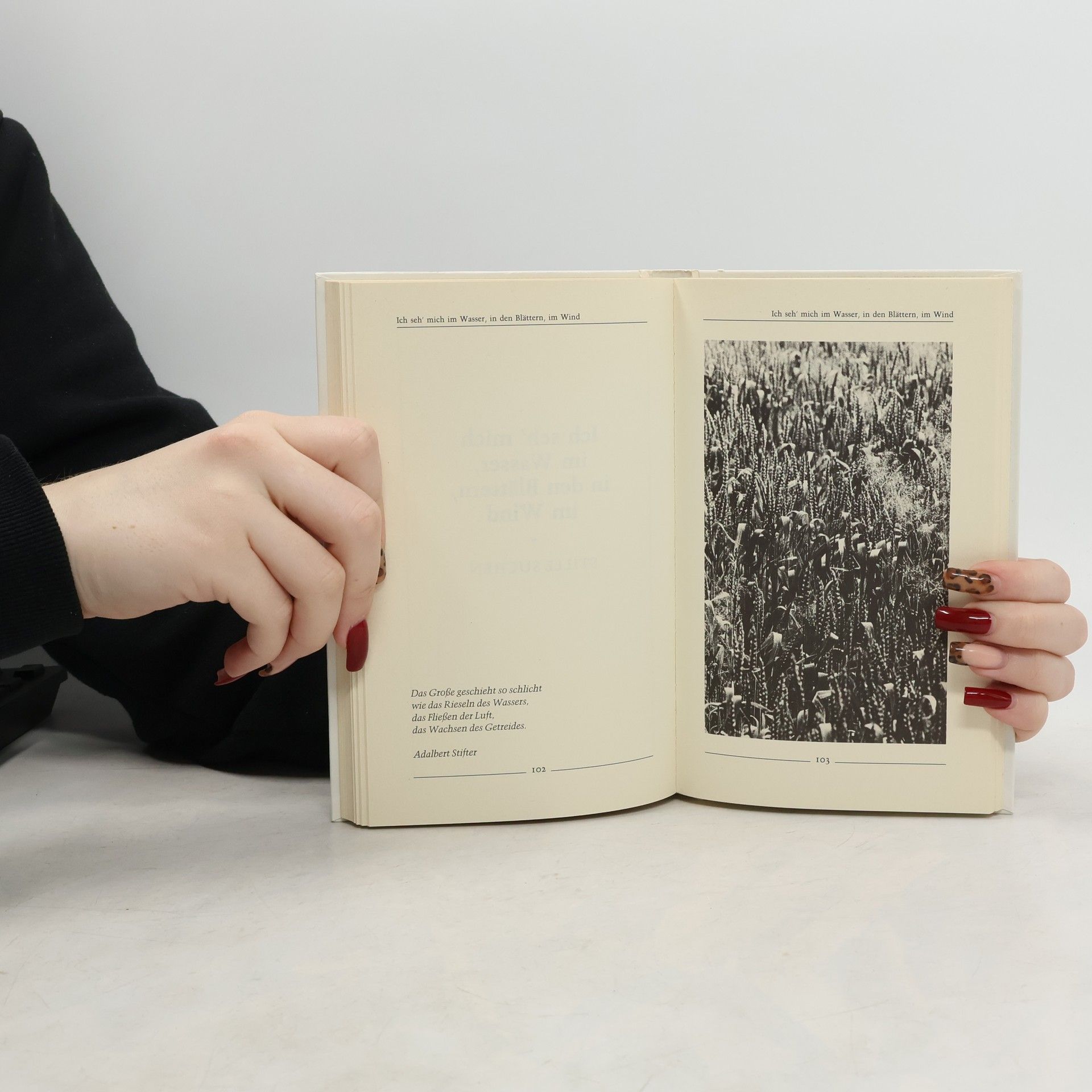 Herbert A. Gornik Das kleine Buch vom großen Sinn