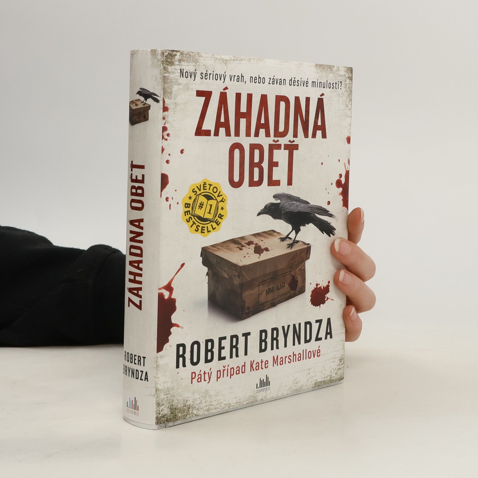 Robert Bryndza Záhadná oběť