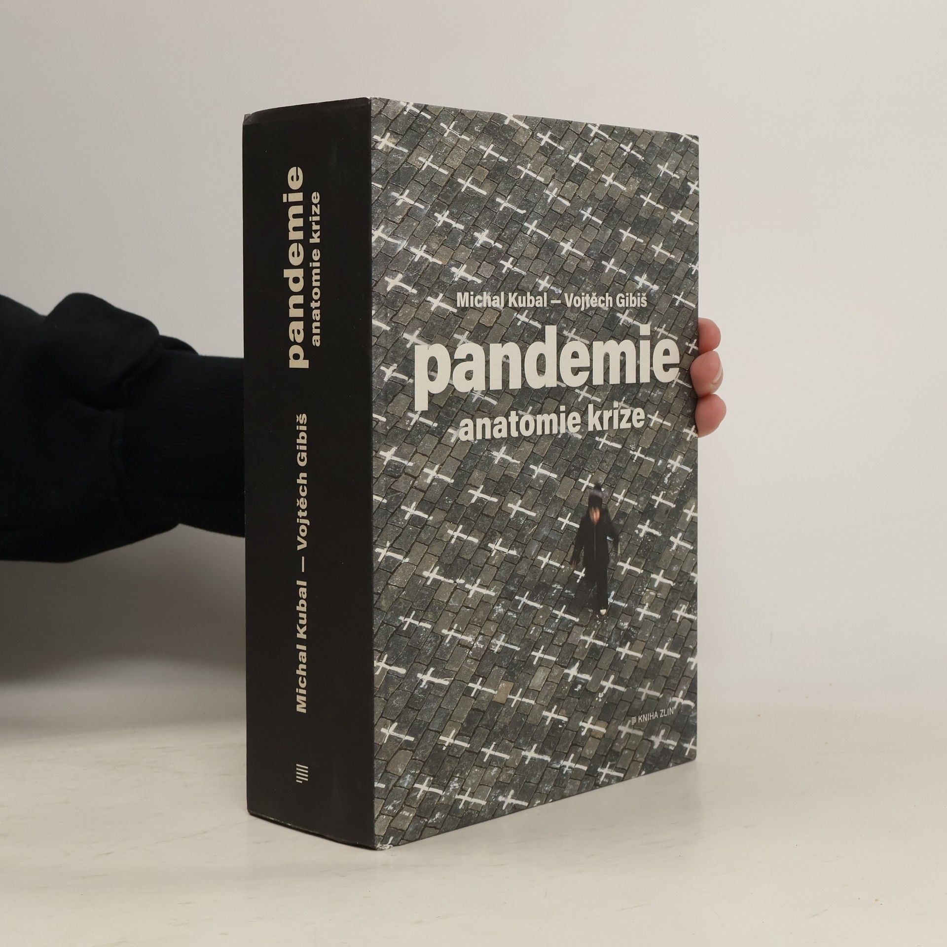Michal Kubal Pandemie : anatomie krize