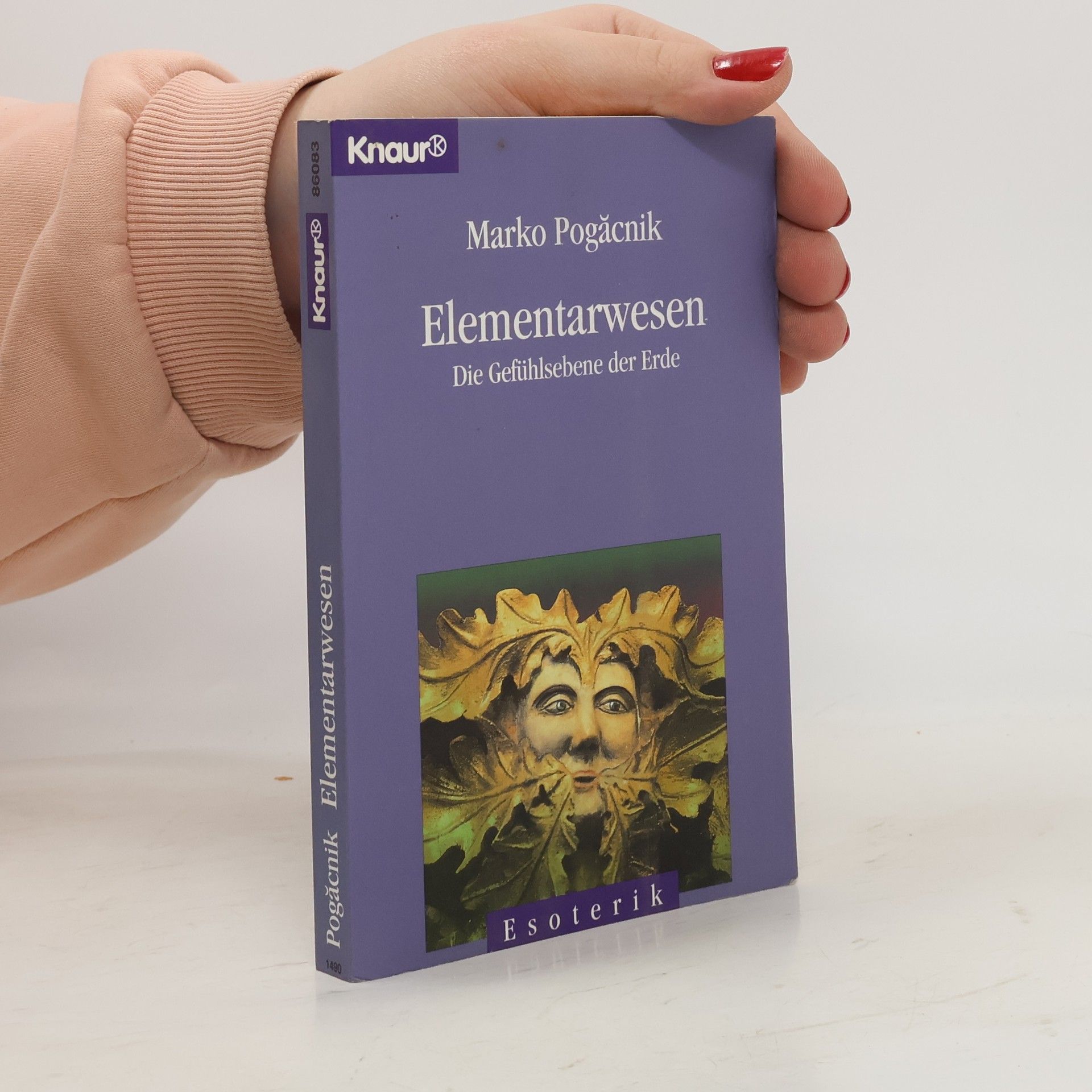 Marko Pogačnik Elementarwesen