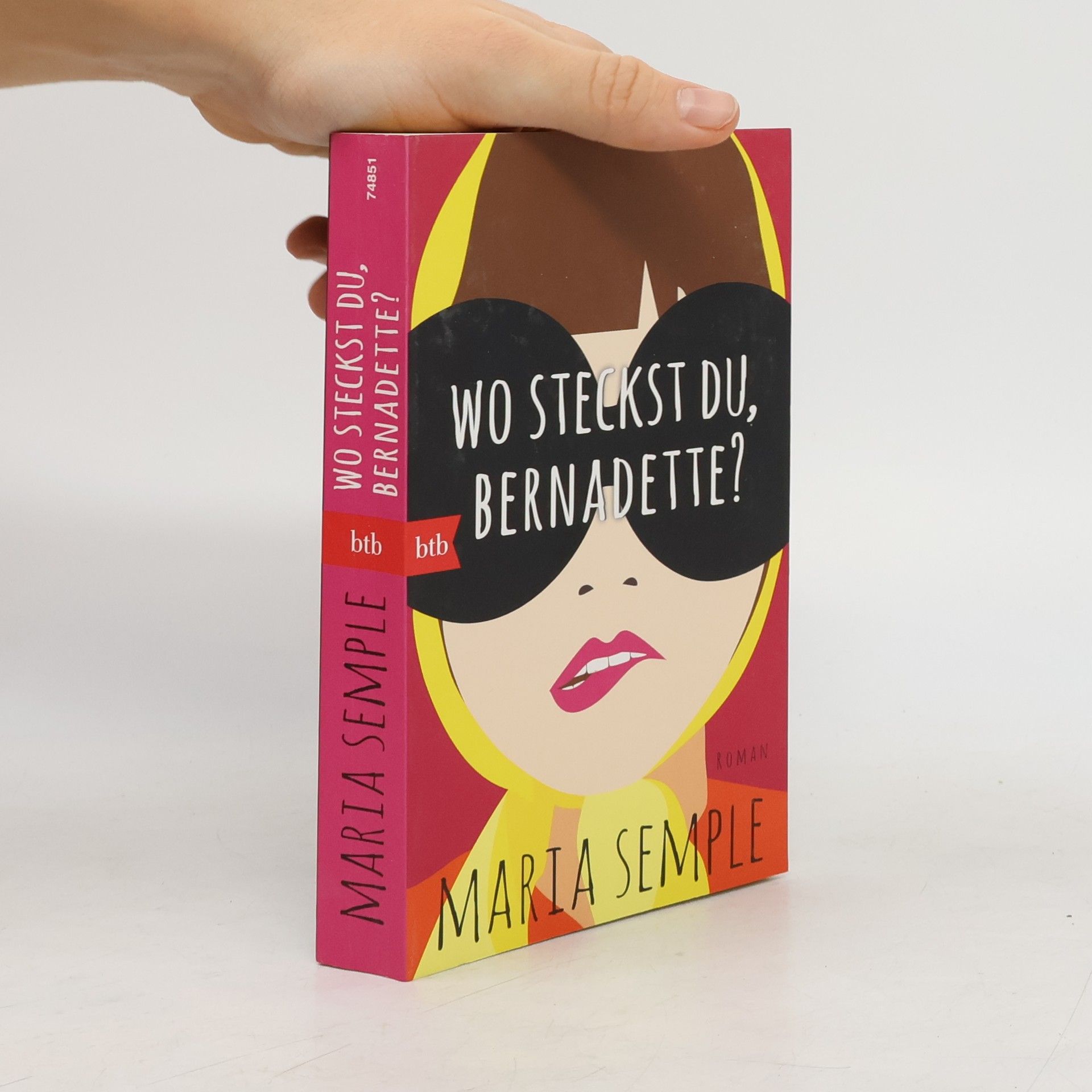 Maria Semple Wo steckst du, Bernadette?